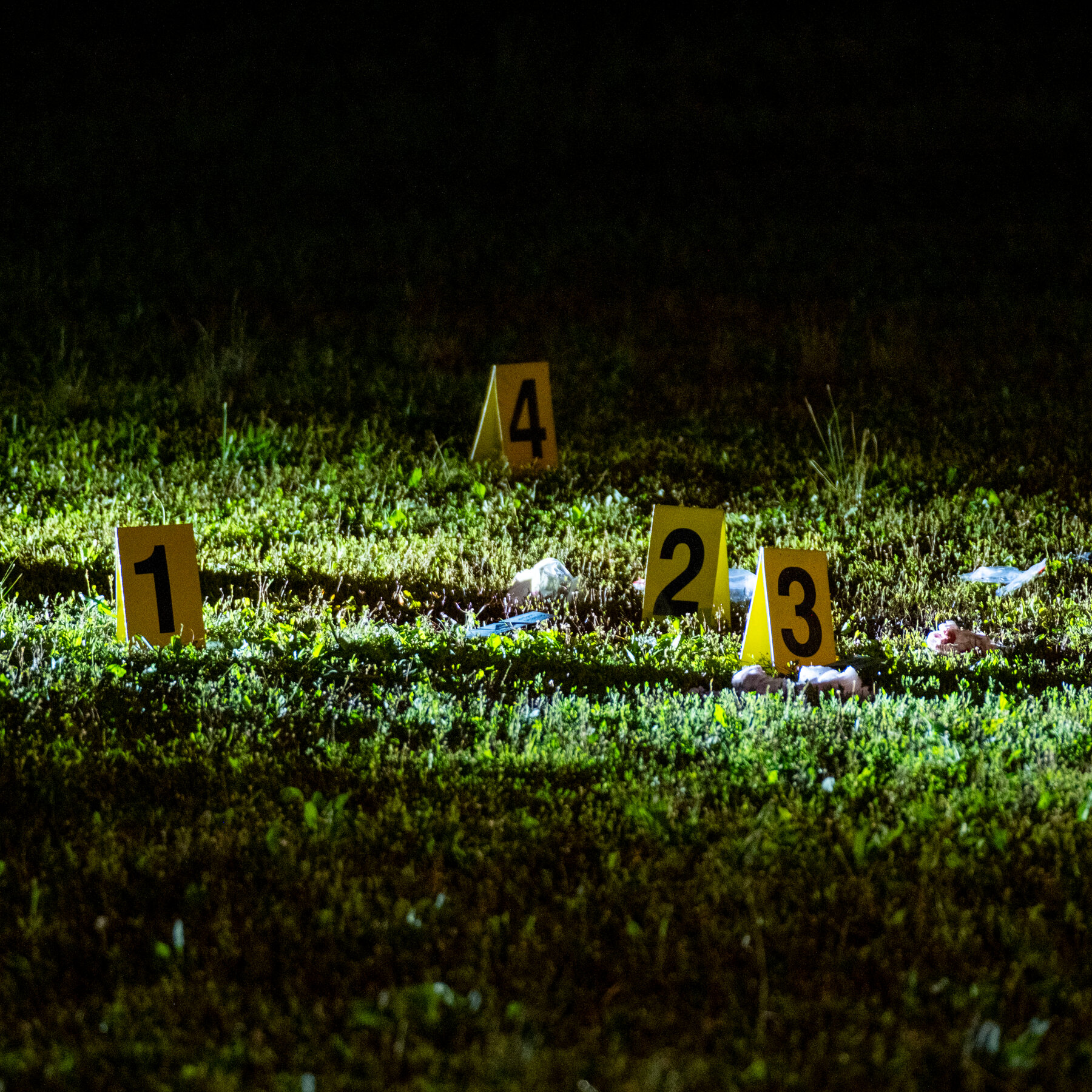 17-Year-Old Fatally Shot in the Bronx After Fight Over a Water Gun