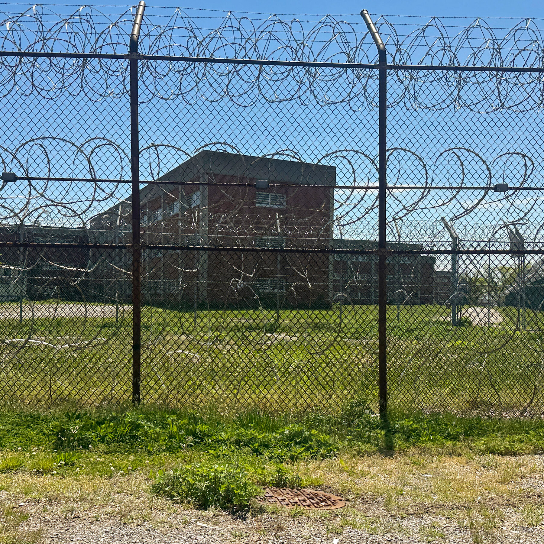 5 People Have Already Died on Rikers This Year as Crisis Worsens