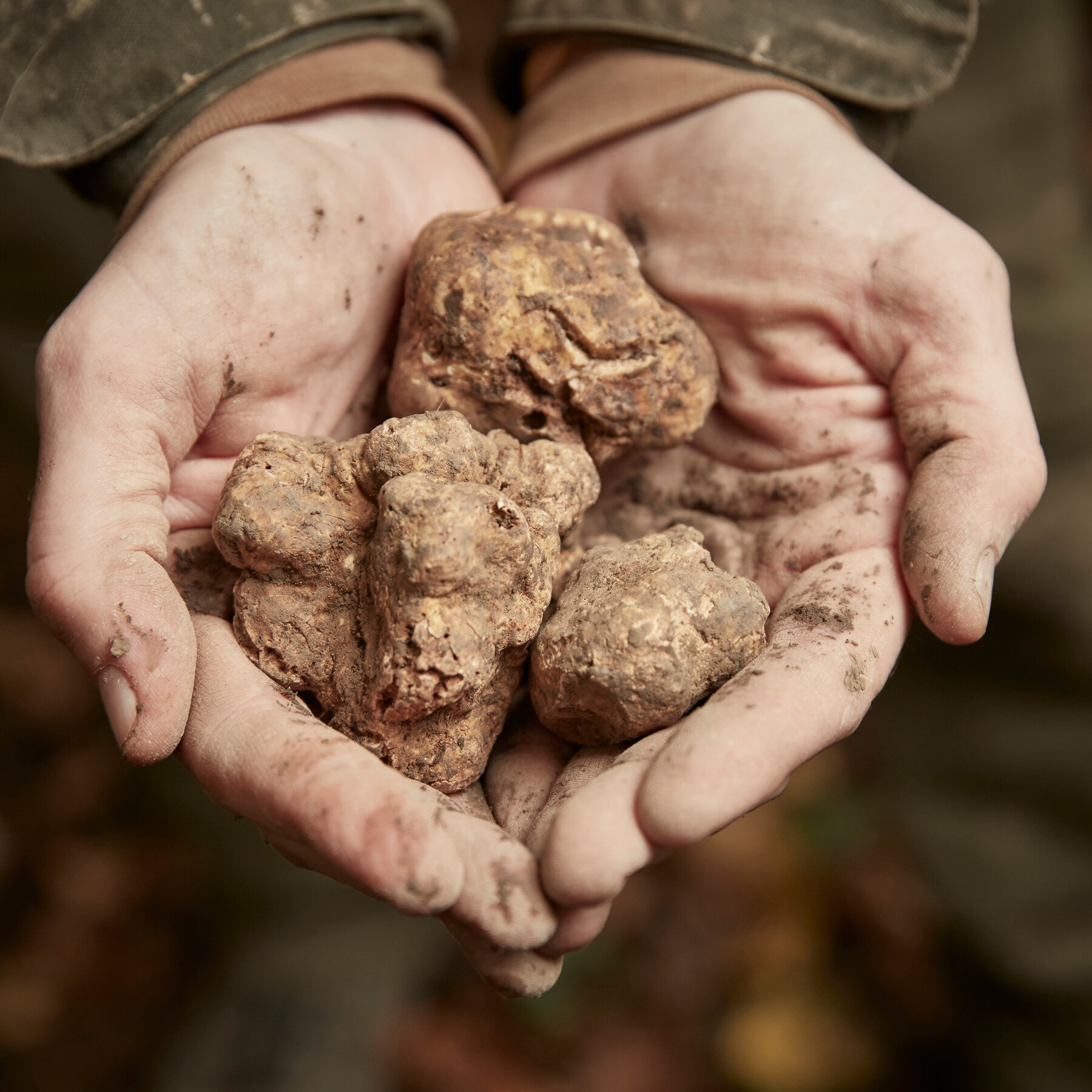 7 of Europe’s Most Delectable Fall Harvest Festivals