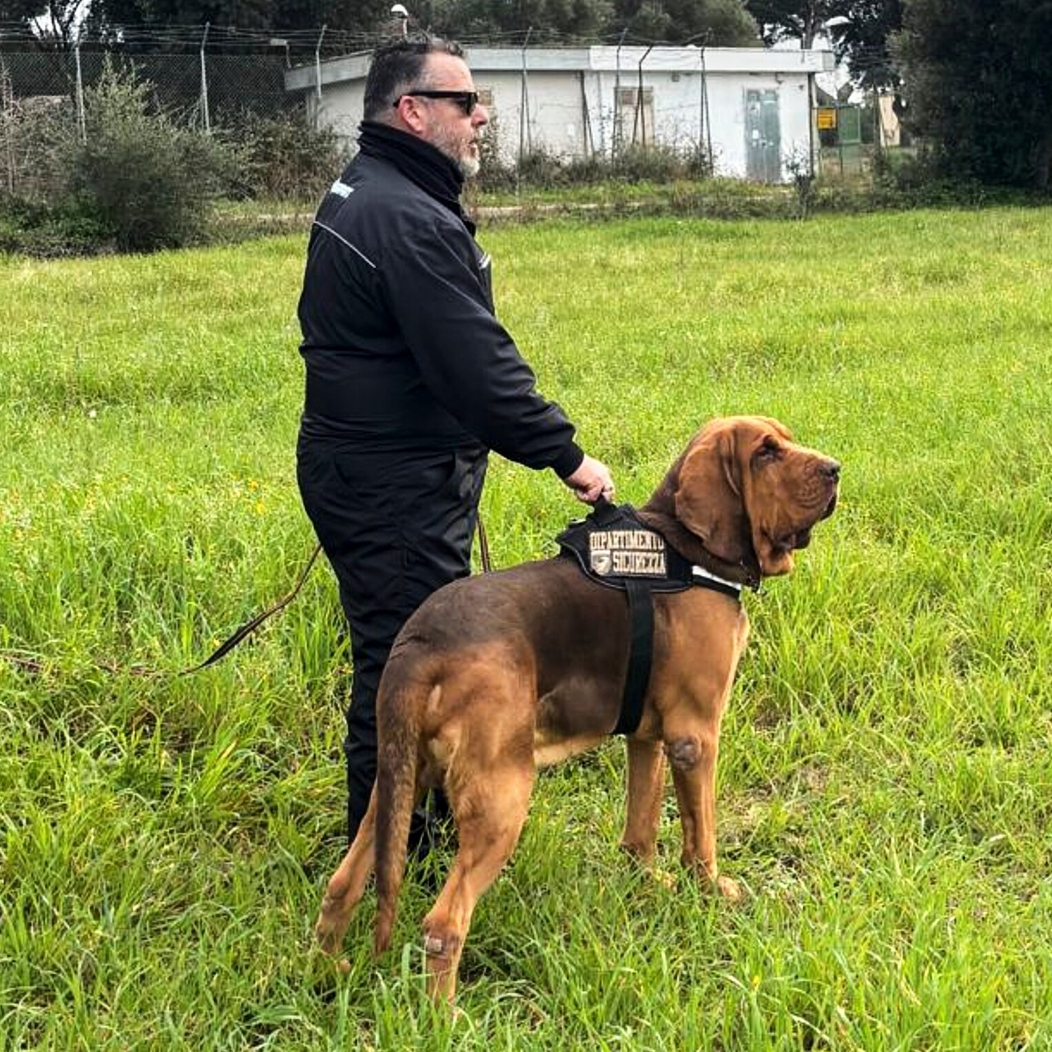 A Beloved Bloodhound, a Fatal Treat: A Gruesome Murder Mystery in Italy