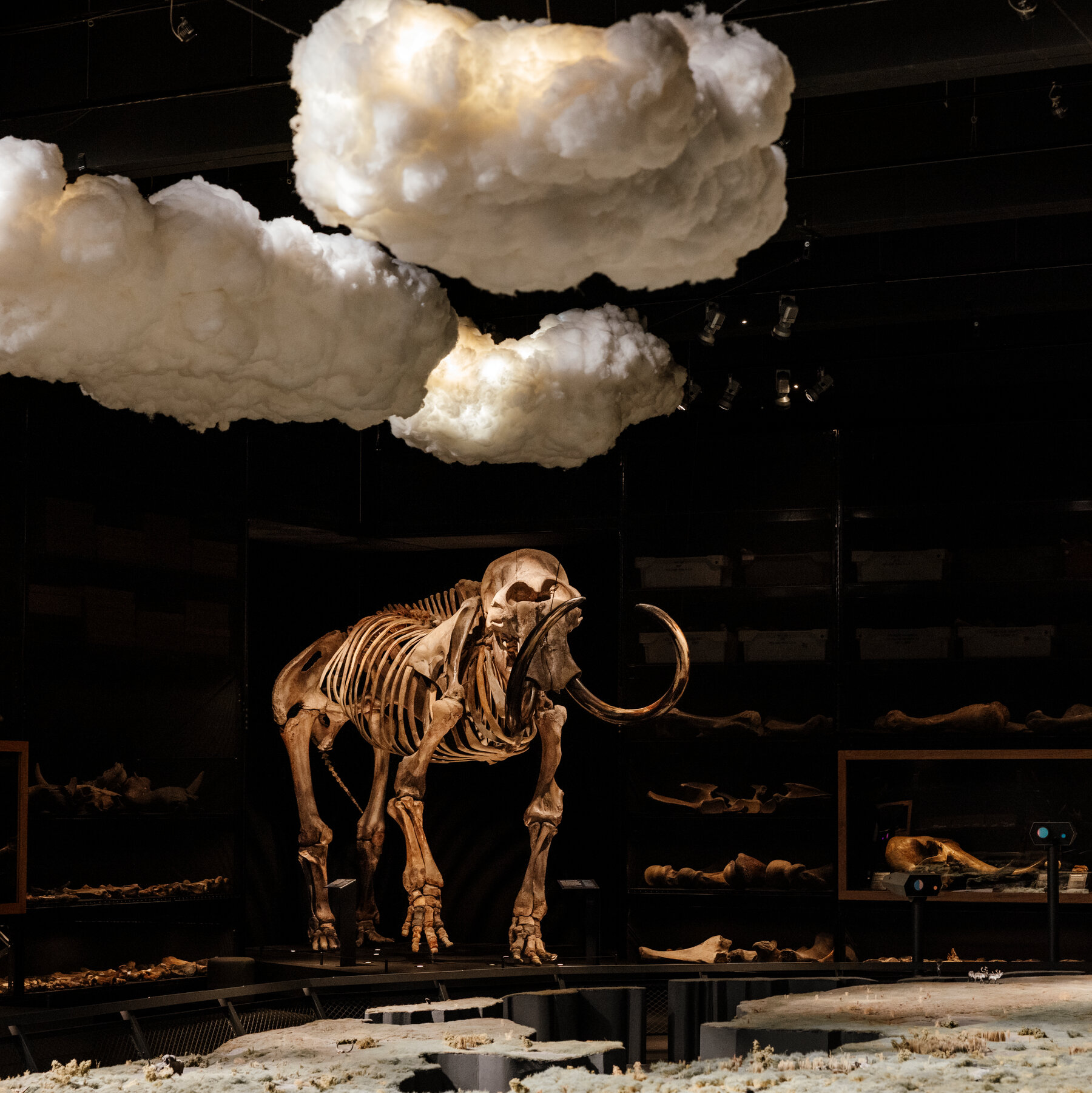 A Day at the Beach Hunting Mammoths