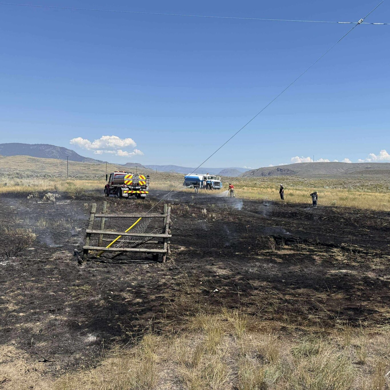 A Fish Falls From the Sky and Sparks a Brush Fire in British Columbia