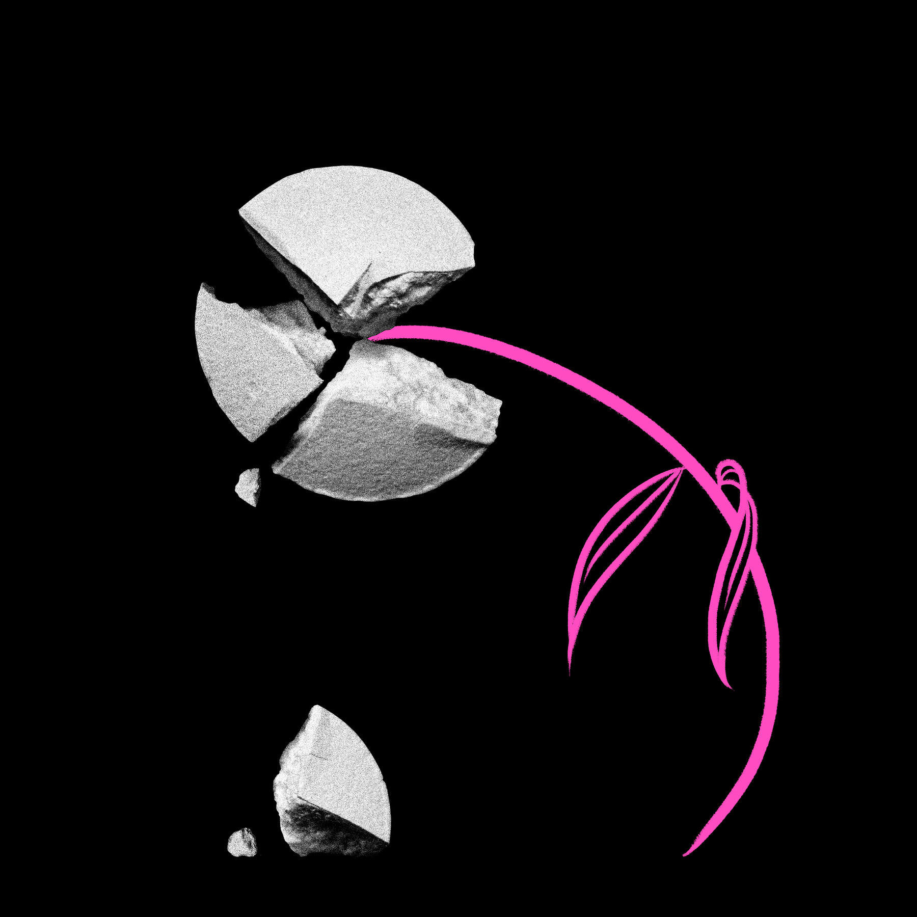 A ‘Floor’ on Abortion Is Still a Limit