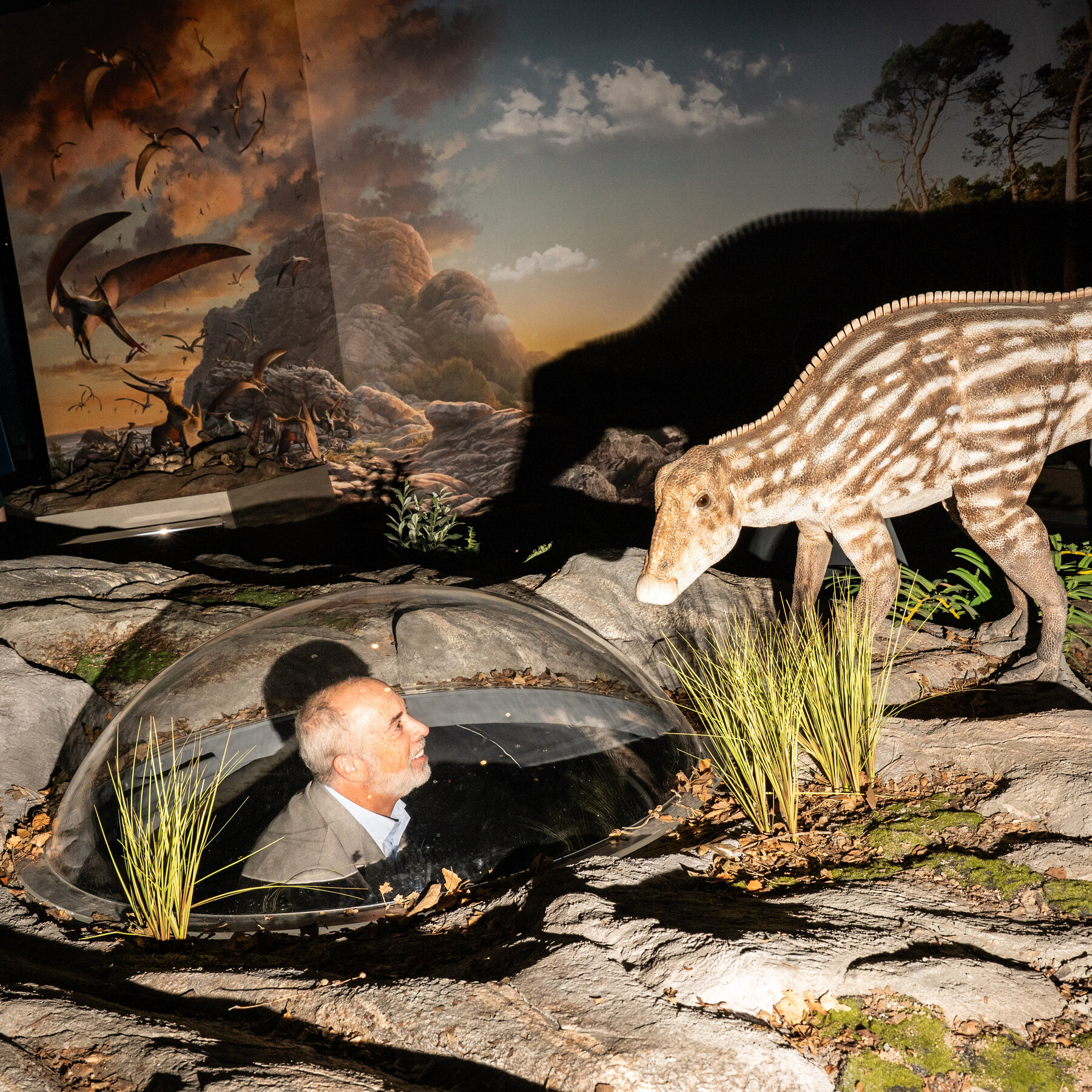 A New Dinosaur Museum Rises From a Hole in the Ground in New Jersey