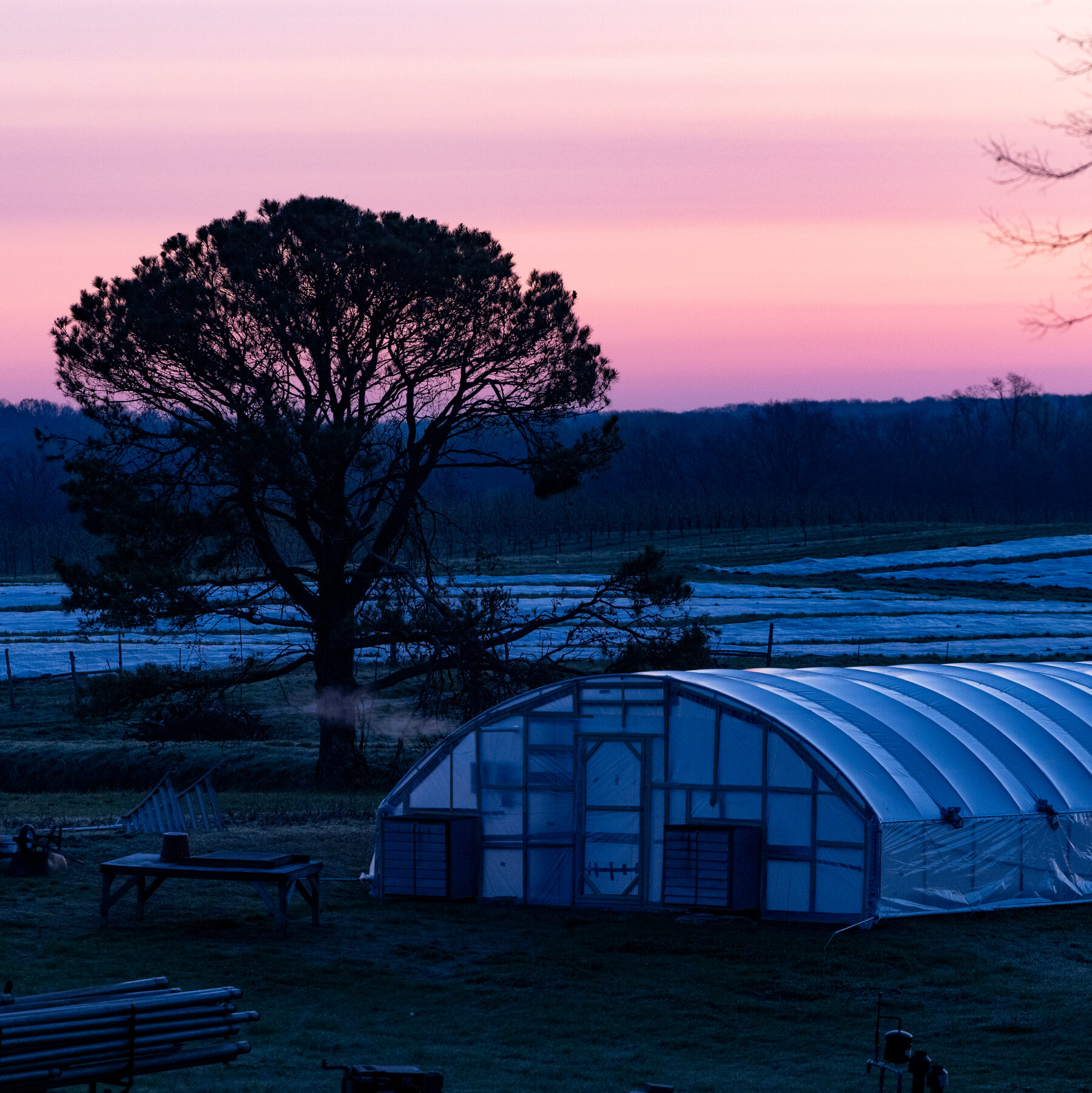 A Peach and Apple Farmer’s Uphill Quest to Feed Poor Families, and His Own