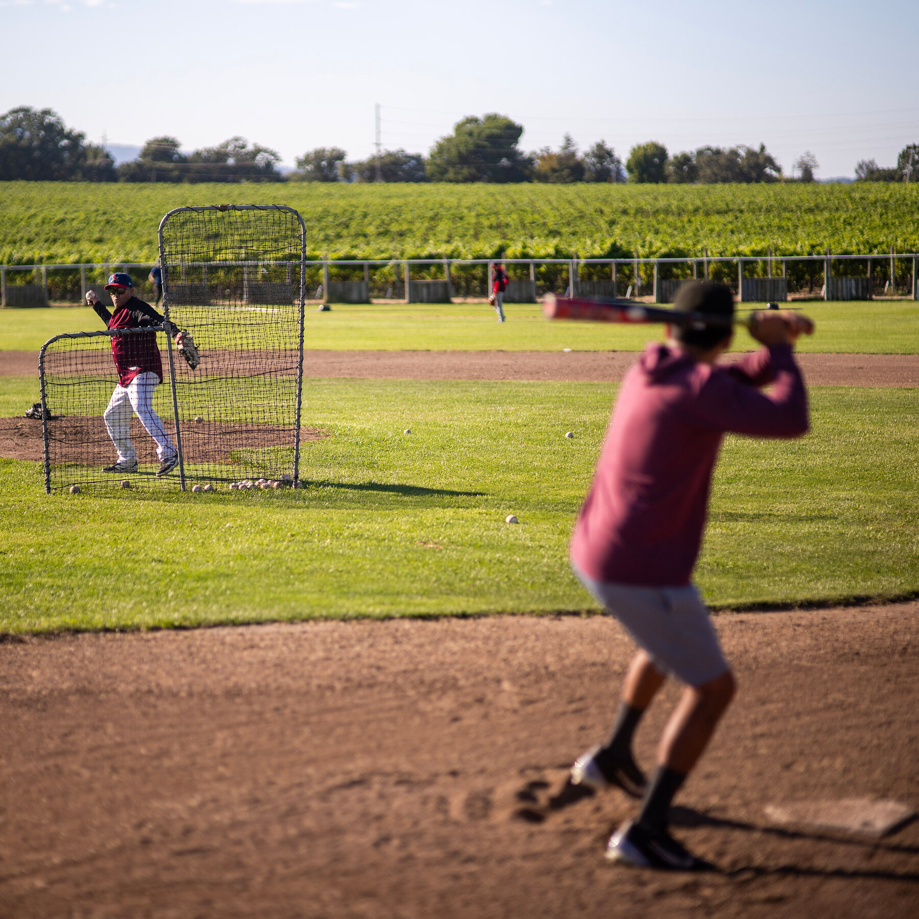 A Vineyard Baseball Field Where Immigration Fears Fade Away