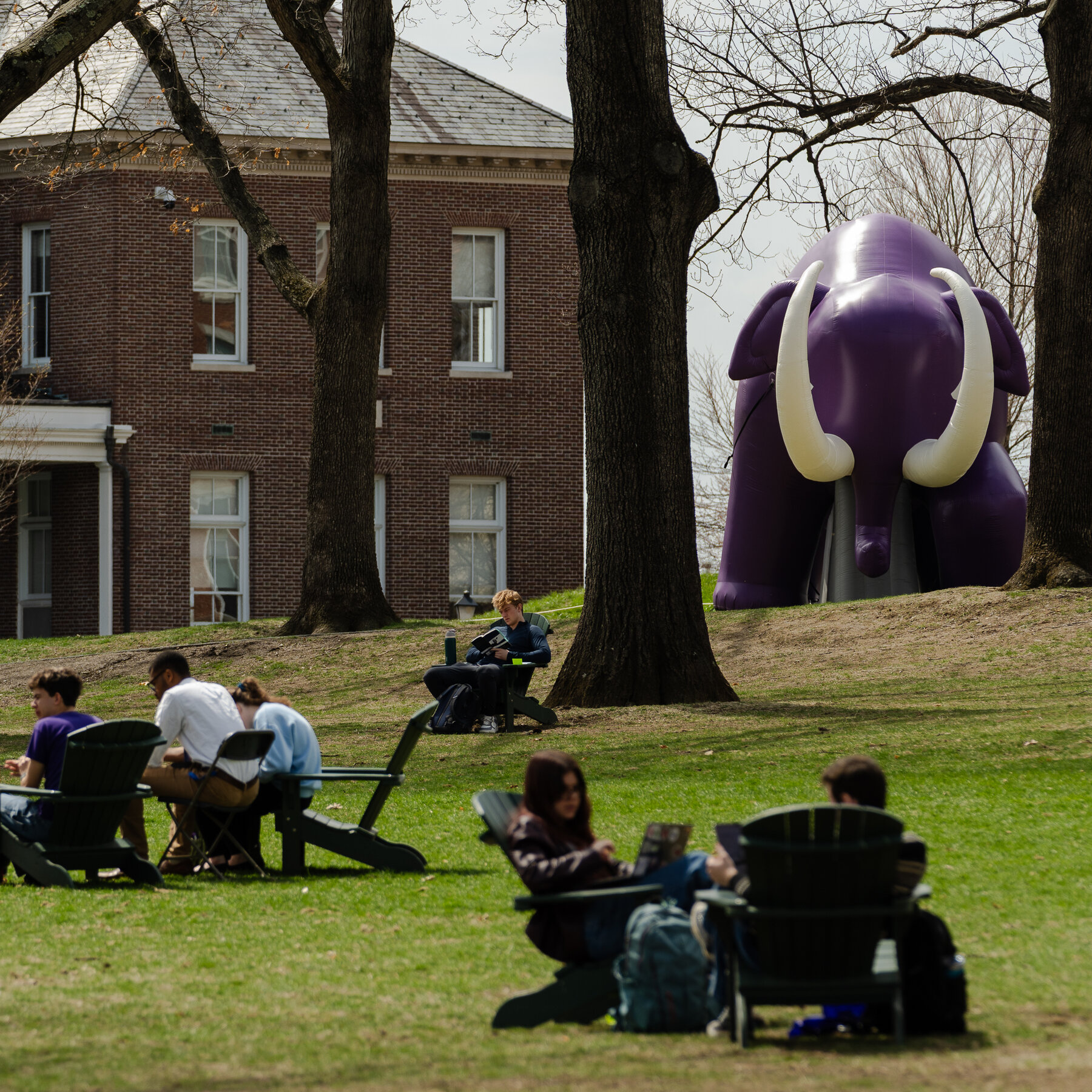After Black Enrollment Fell, Amherst College Faces an Identity Crisis