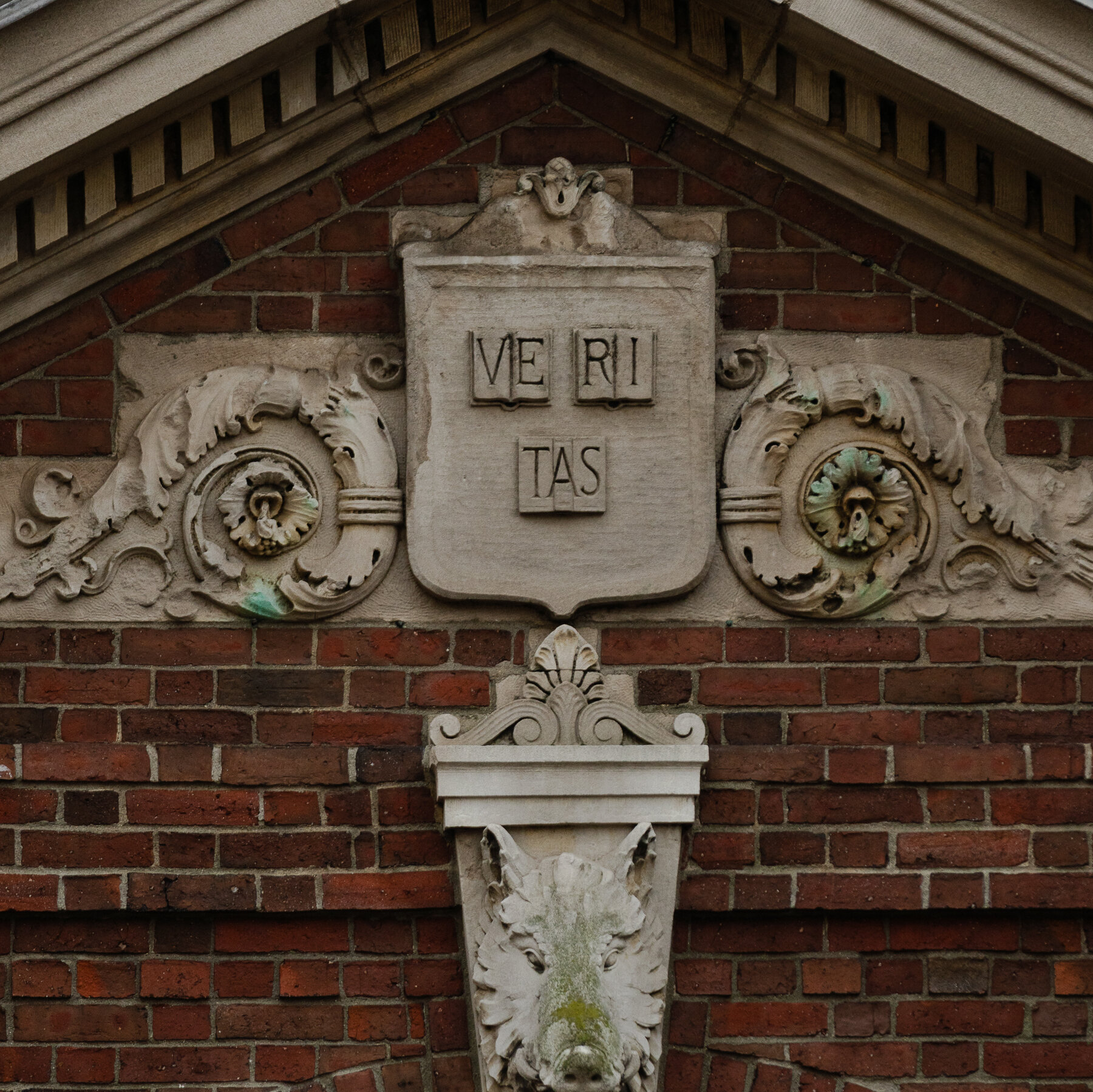 After Harvard, Liberal Donors and Groups Fear New Scrutiny From Trump