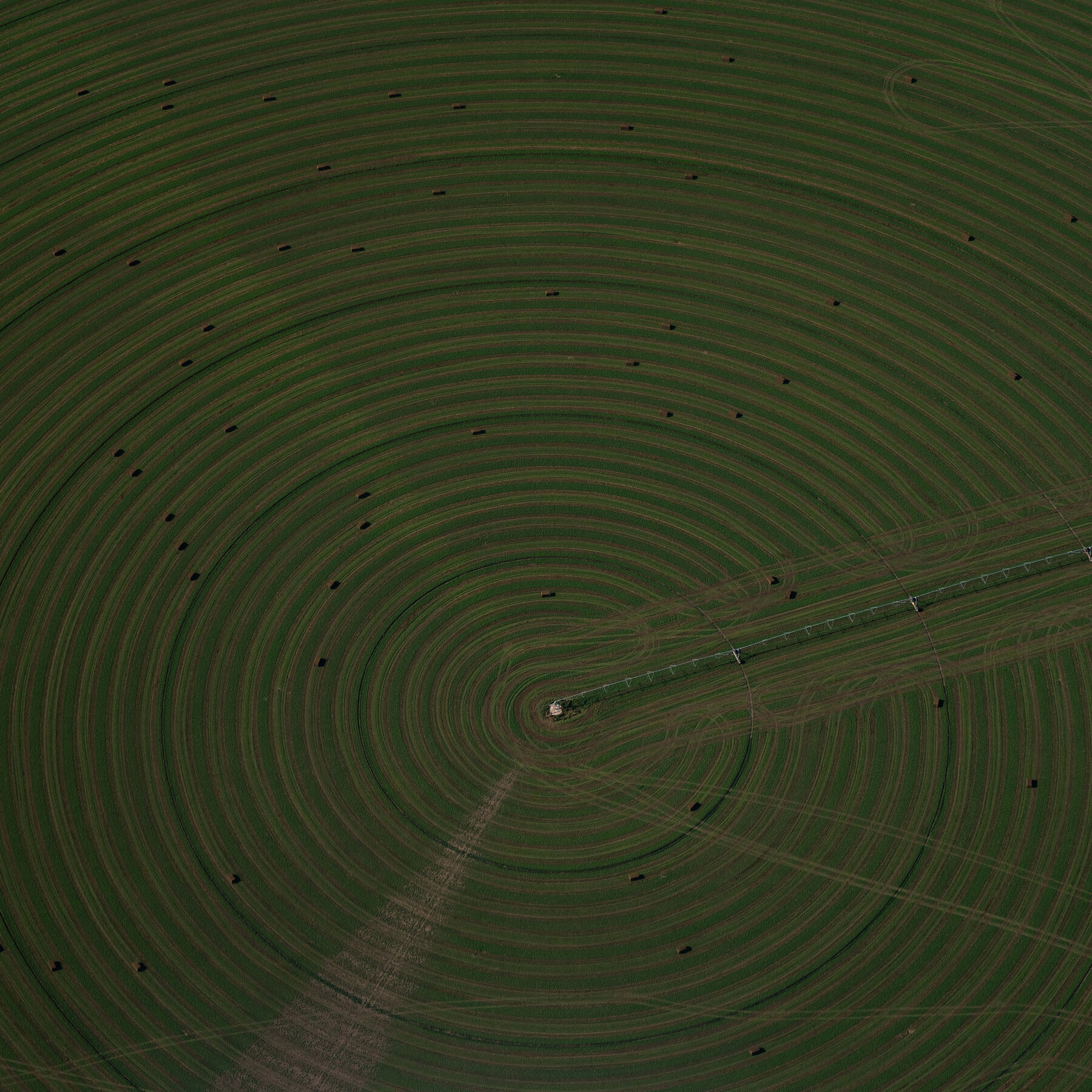Agriculture Dept. to Crack Down on Chinese Ownership of American Farmland