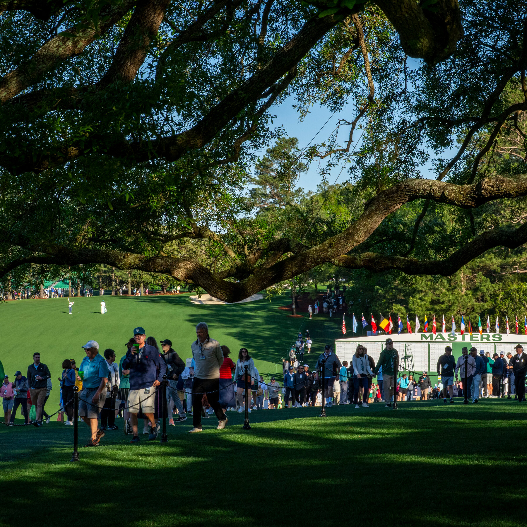 Ahead of the Masters, Golfers and Fans Load Up on Allergy Medication