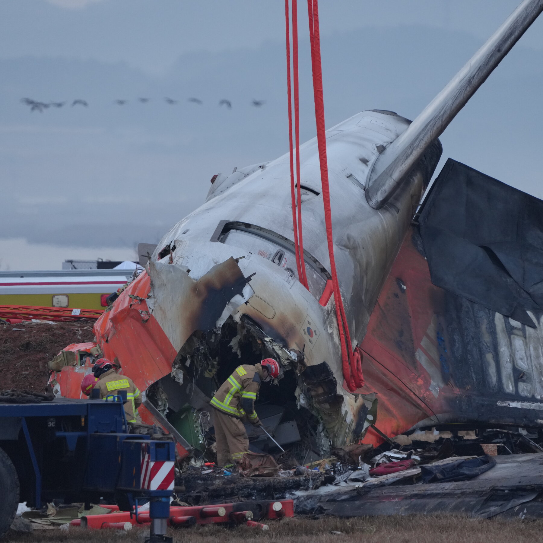 Airport Was Given Bird Strike Warning Days Before South Korea’s Deadly Crash
