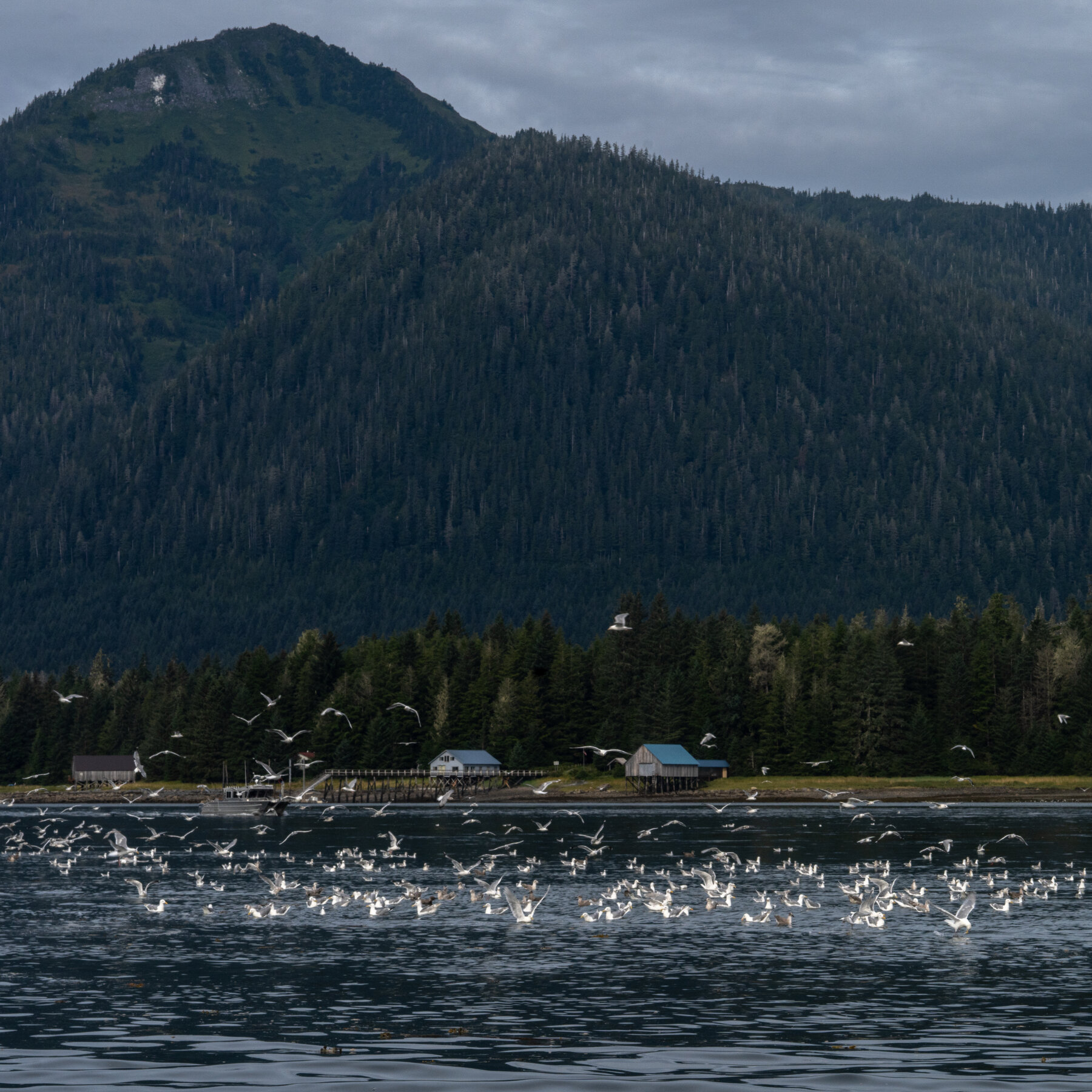 Alaska Weather Office Issues Its First Heat Warning