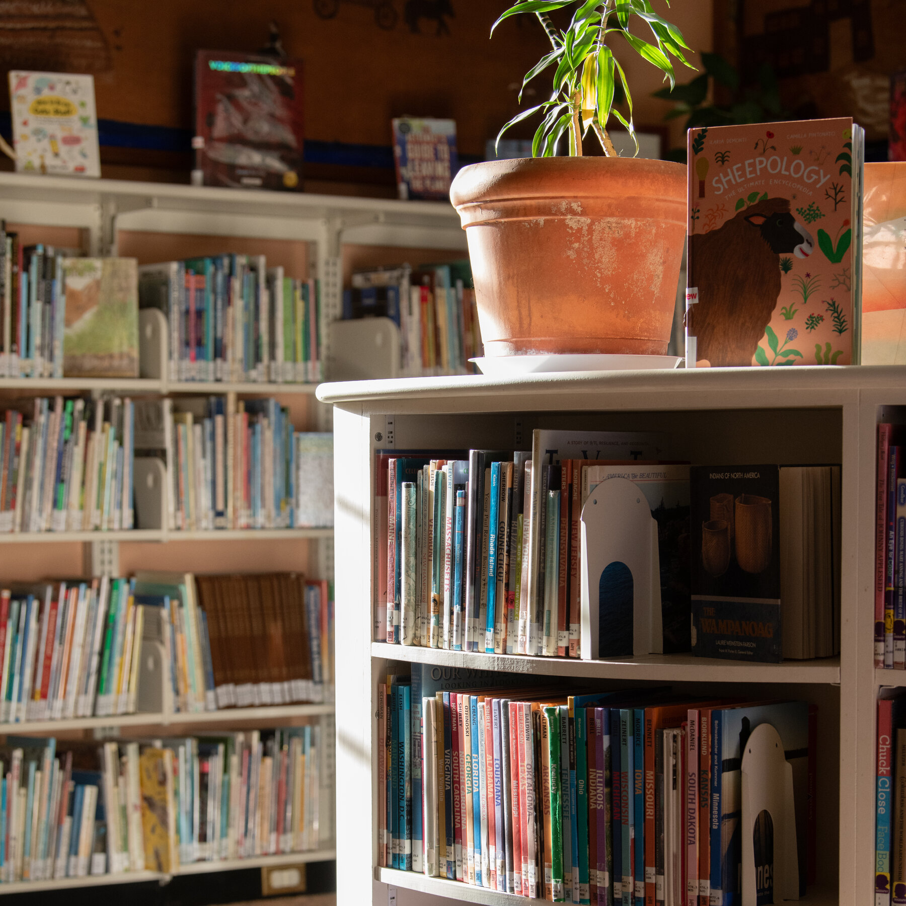American Library Association Sues to Stop Trump Cuts
