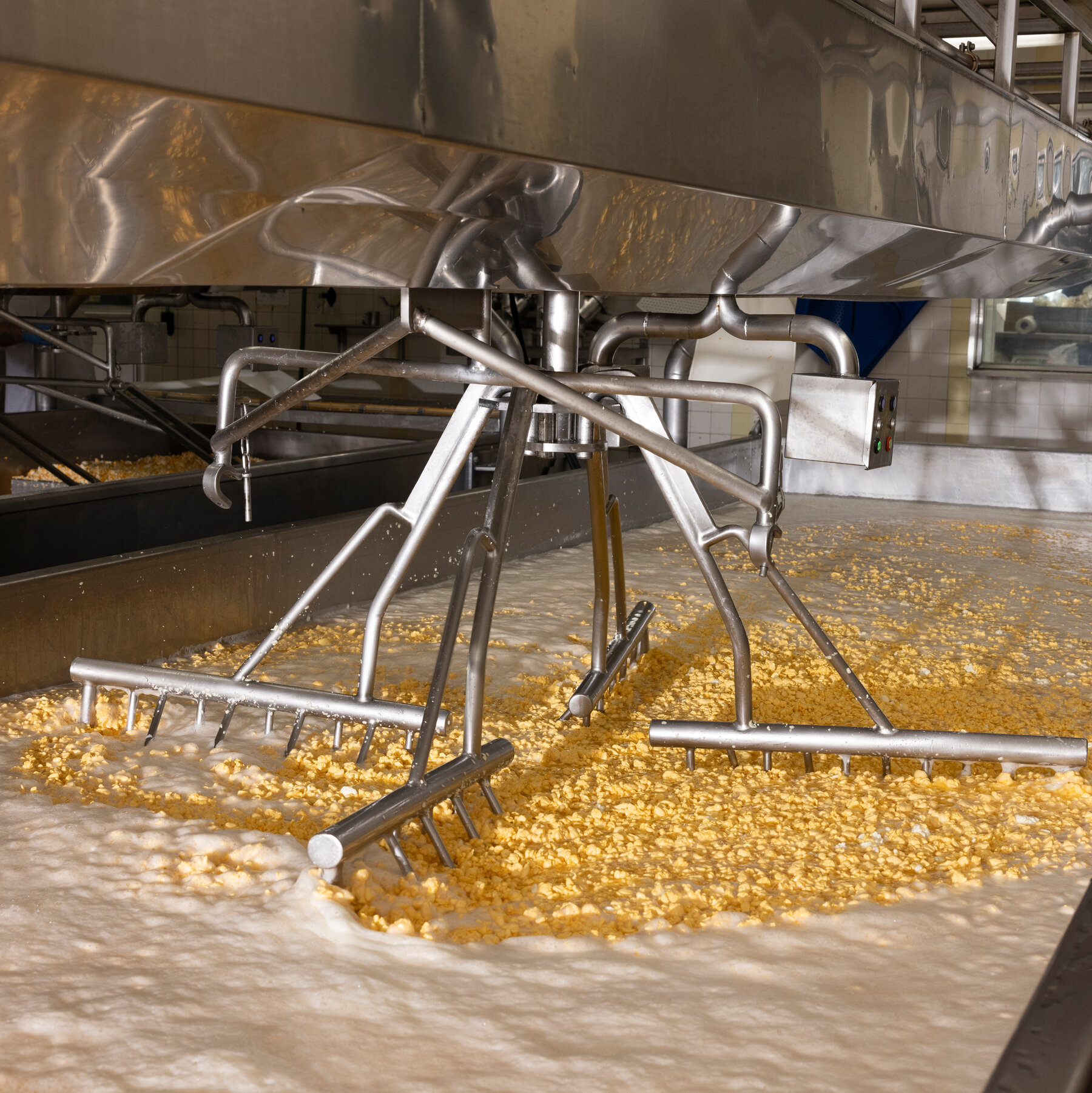 America’s Whey Protein Obsession Is Transforming the Dairy Industry