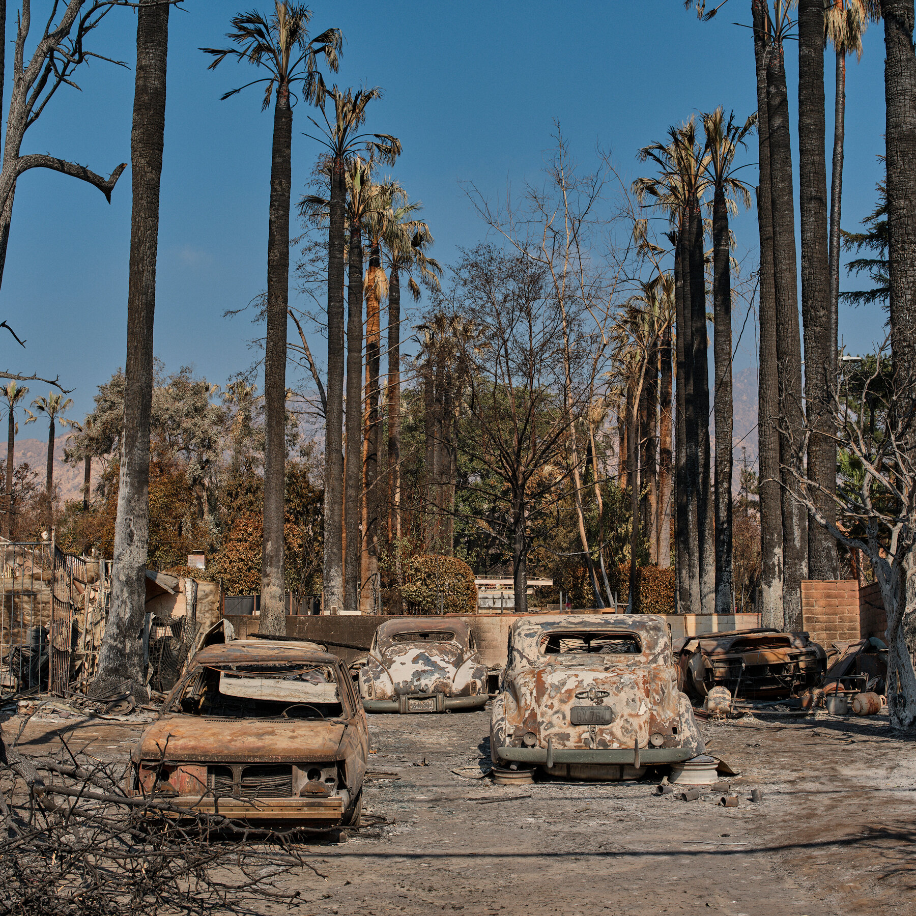 An Evacuation, and a Haunting Question