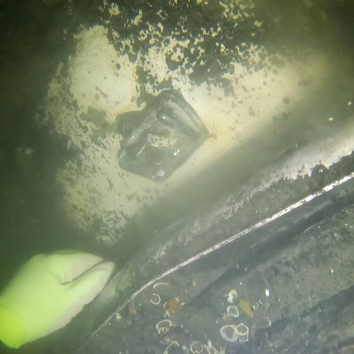 An Oregon Family Vanished in 1958. Their Car May Have Been Found in a River.