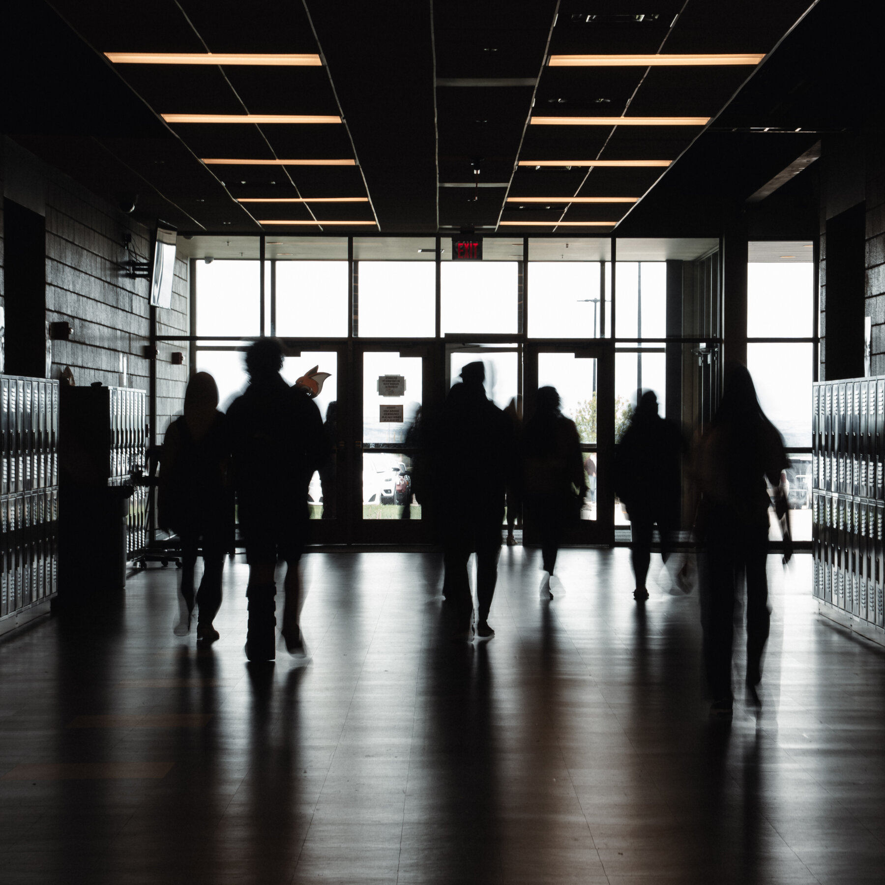 Are Schools a Problem?