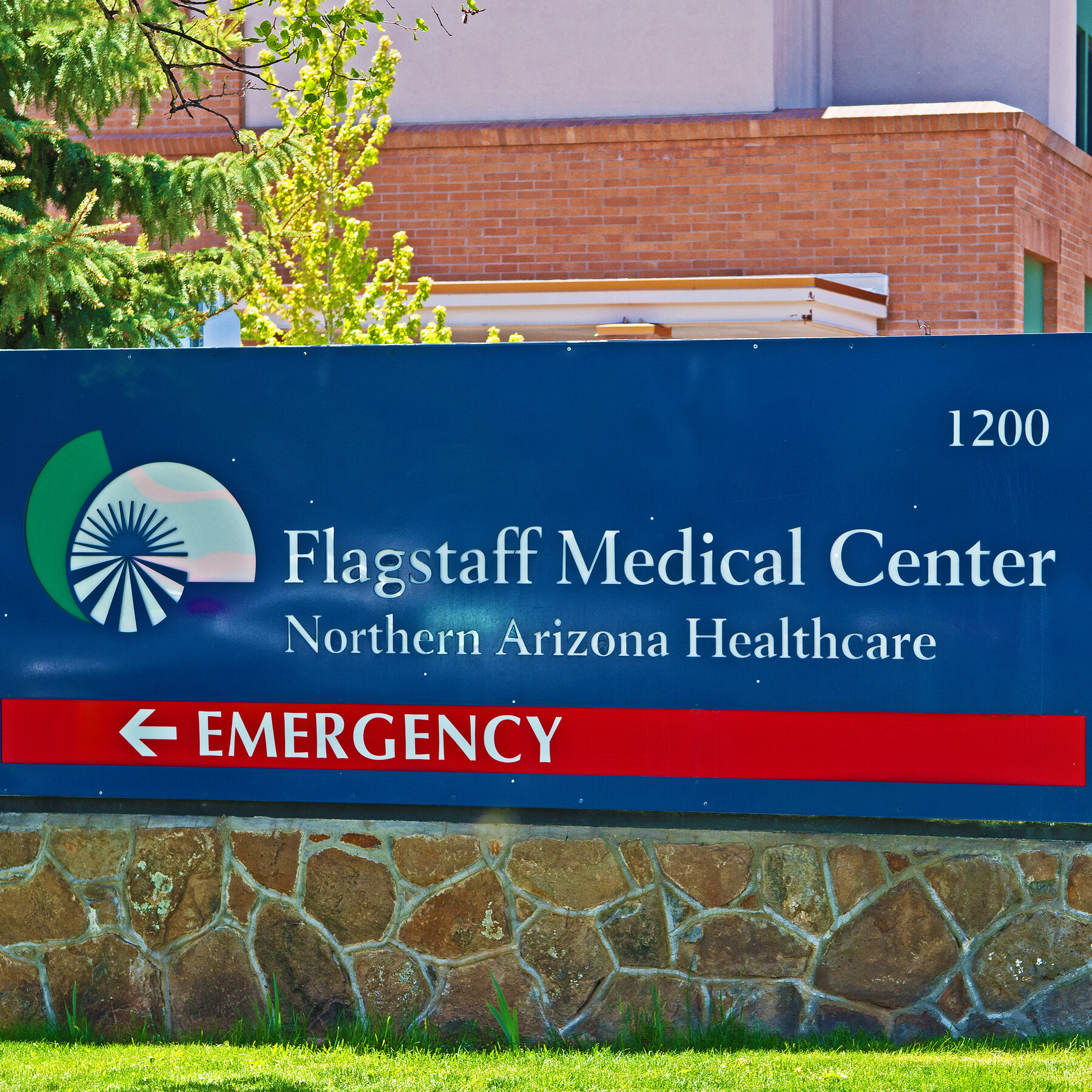 Arizona Resident Dies From Plague, Officials Say