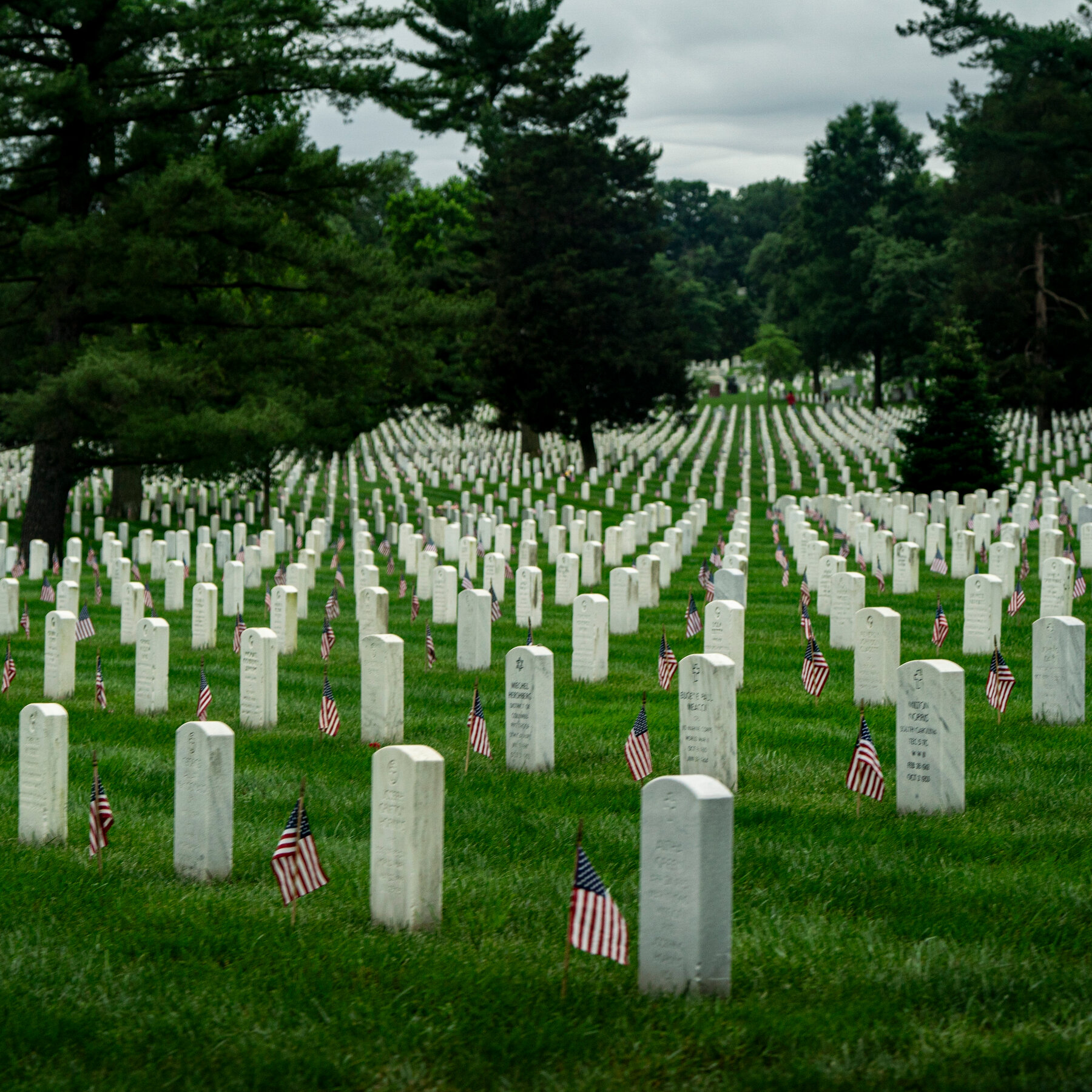Arlington Cemetery Website Loses Pages on Black Soldiers, Women in Military and Civil War