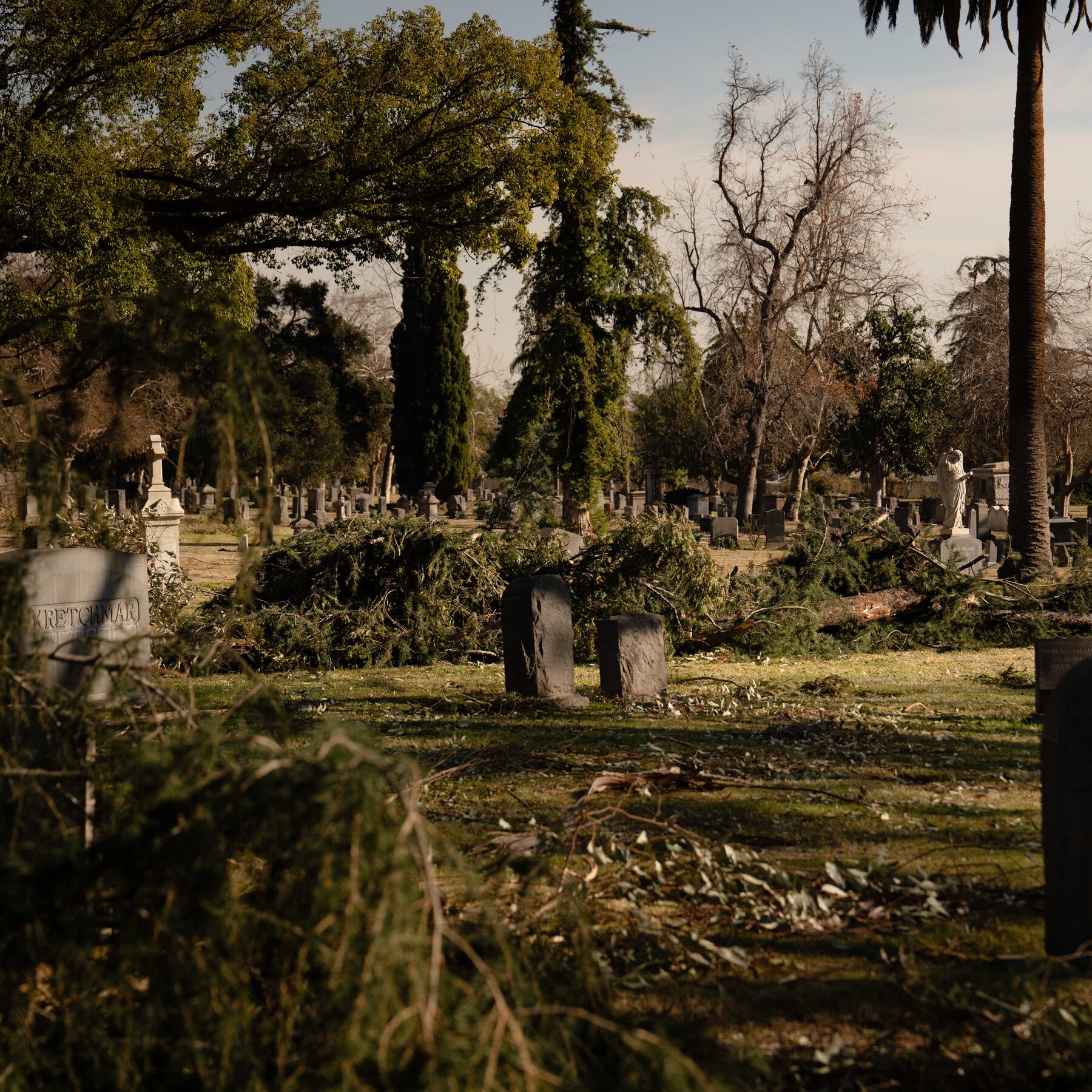 As the Living Fled, a Race to Save the Dead at an Altadena Cemetery