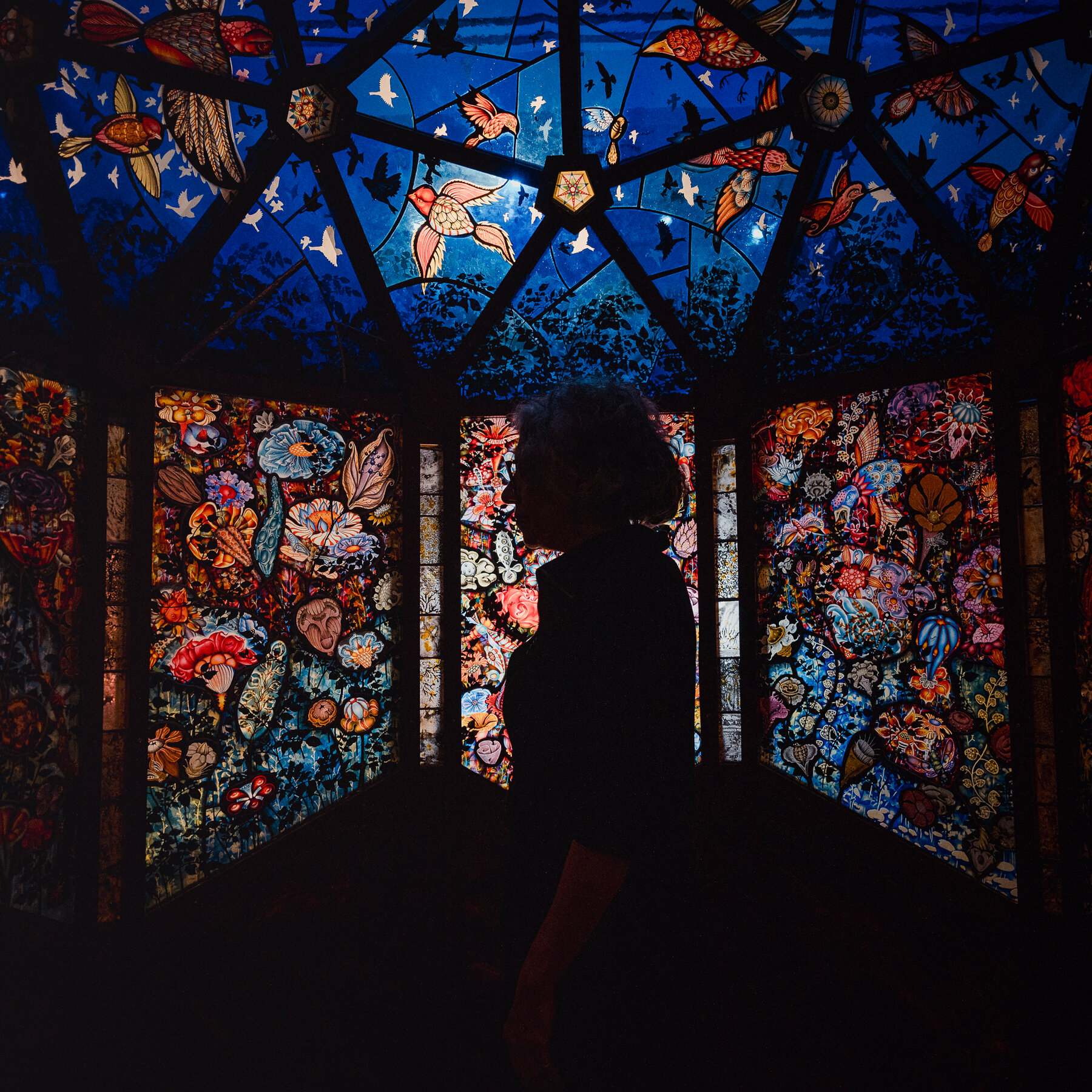 At a Pennsylvania Museum, an Artist’s Glass Dome Provides Sanctuary