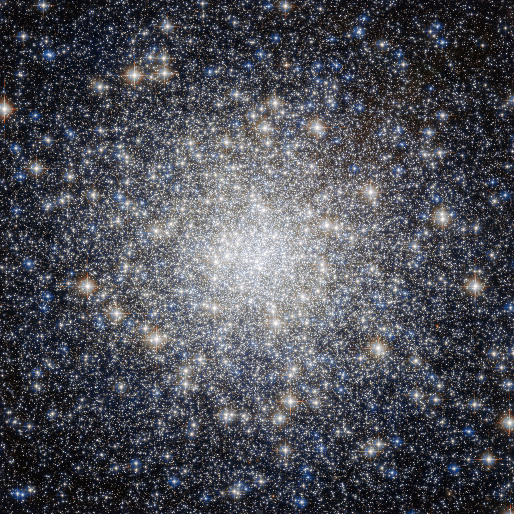 At the American Museum of Natural History, a Look to Outer Space