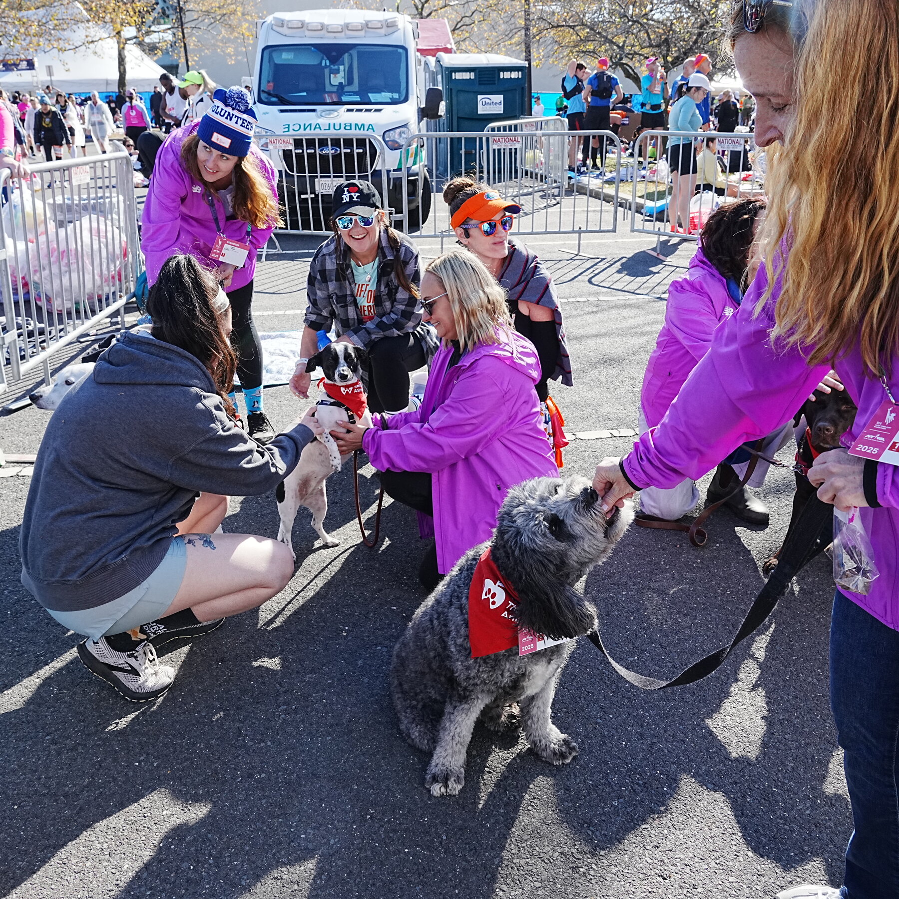 At the Start, Dogs Help Runners Relax Before the New York Marathon