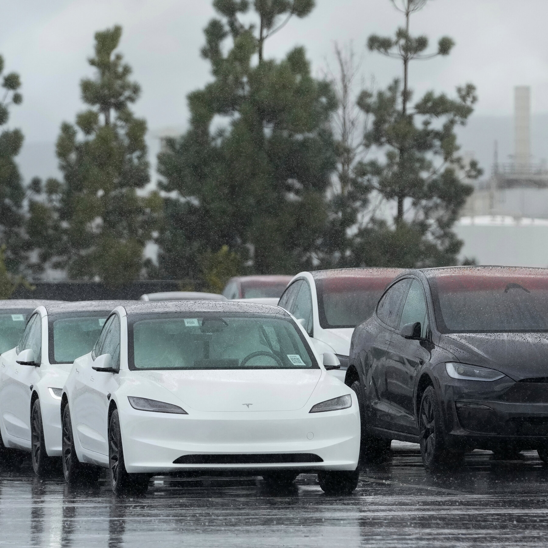 Attorney General Pam Bondi Condemns Tesla Attacks, Citing ‘Domestic Terrorism’