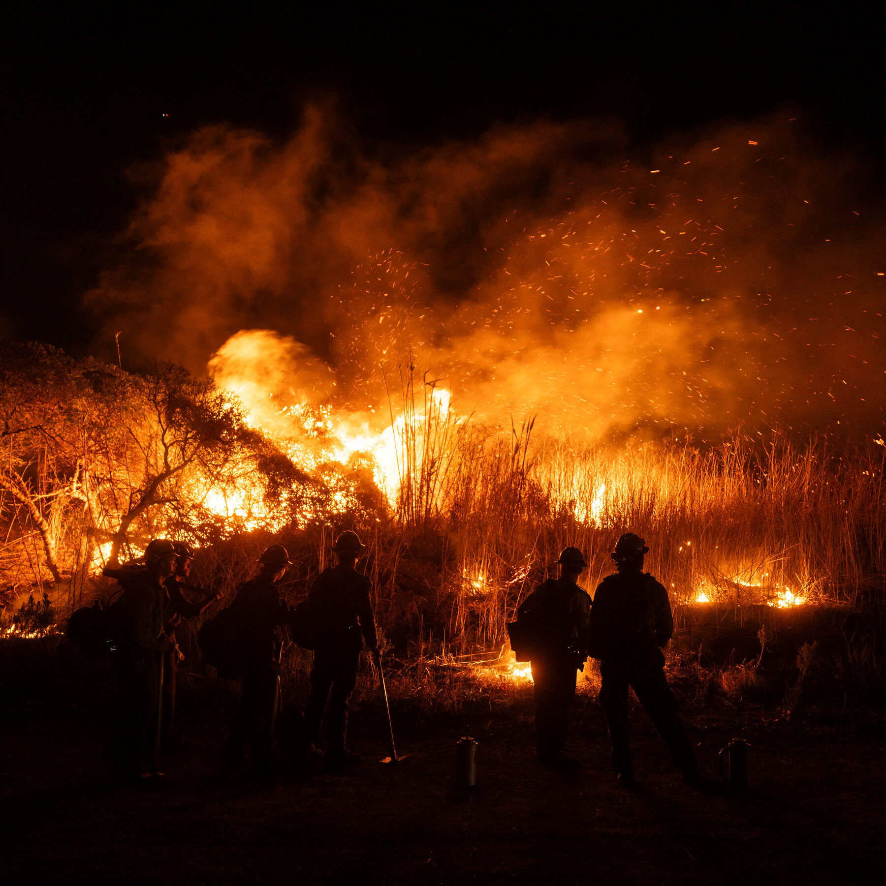 Auto Fire in Ventura County Is Small but 0% Contained