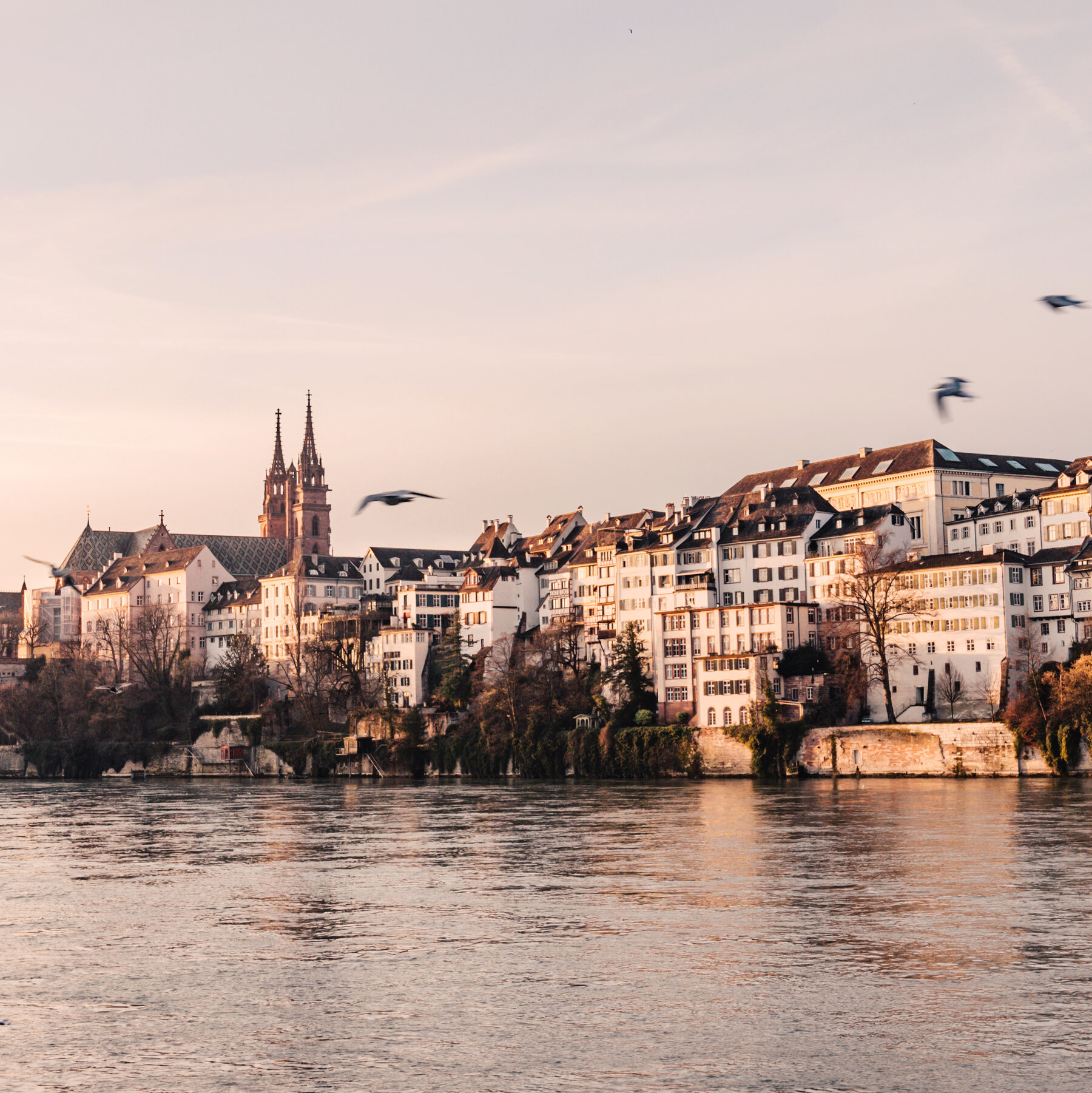 Basel swaps high art for high camp.