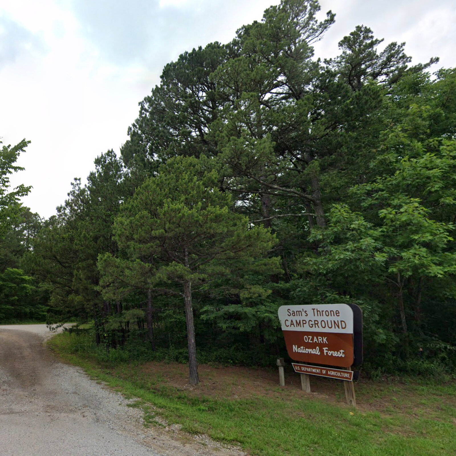Bear Fatally Mauls Camper in the Ozarks in Arkansas