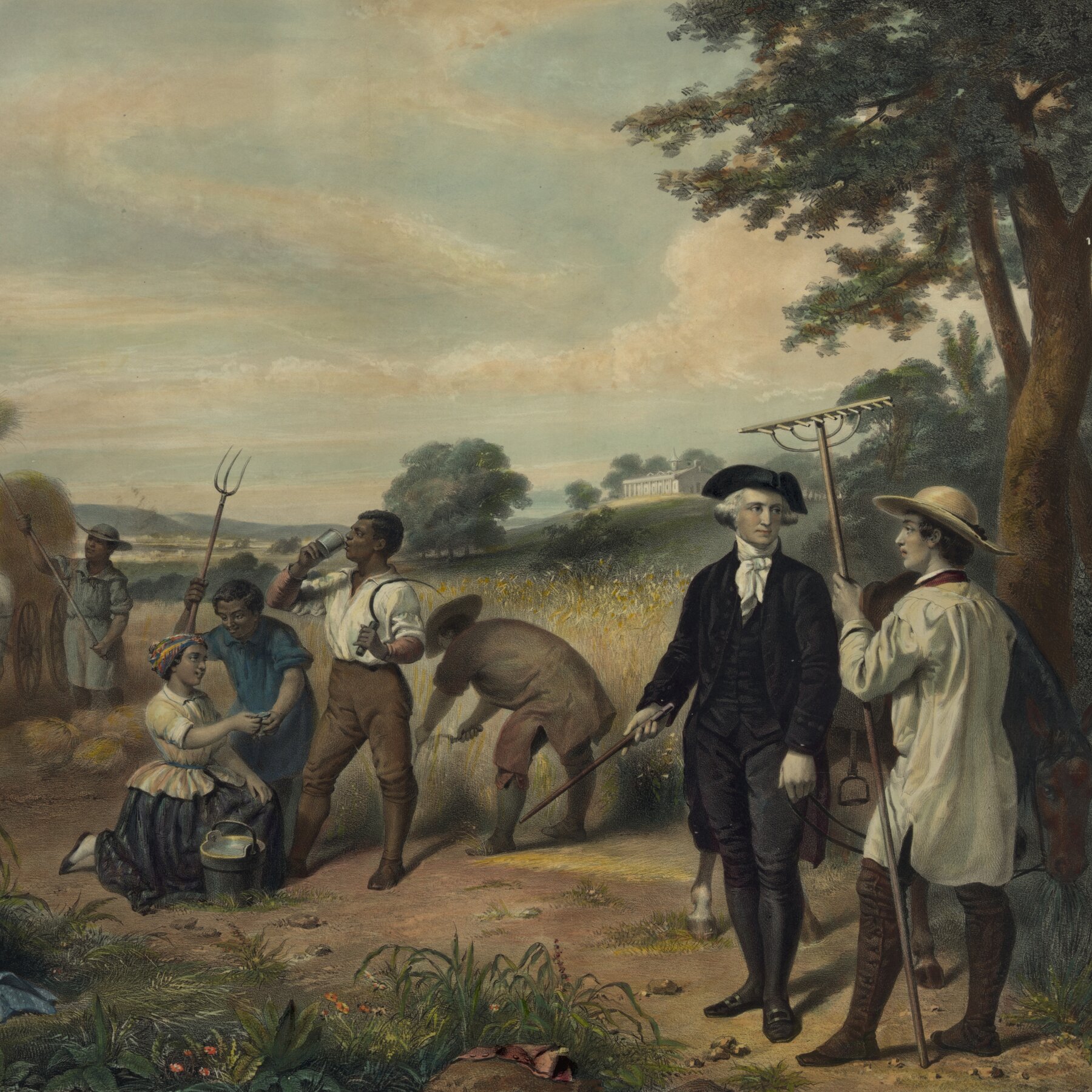 Book Review: ‘The Great Contradiction,’ by Joseph J. Ellis