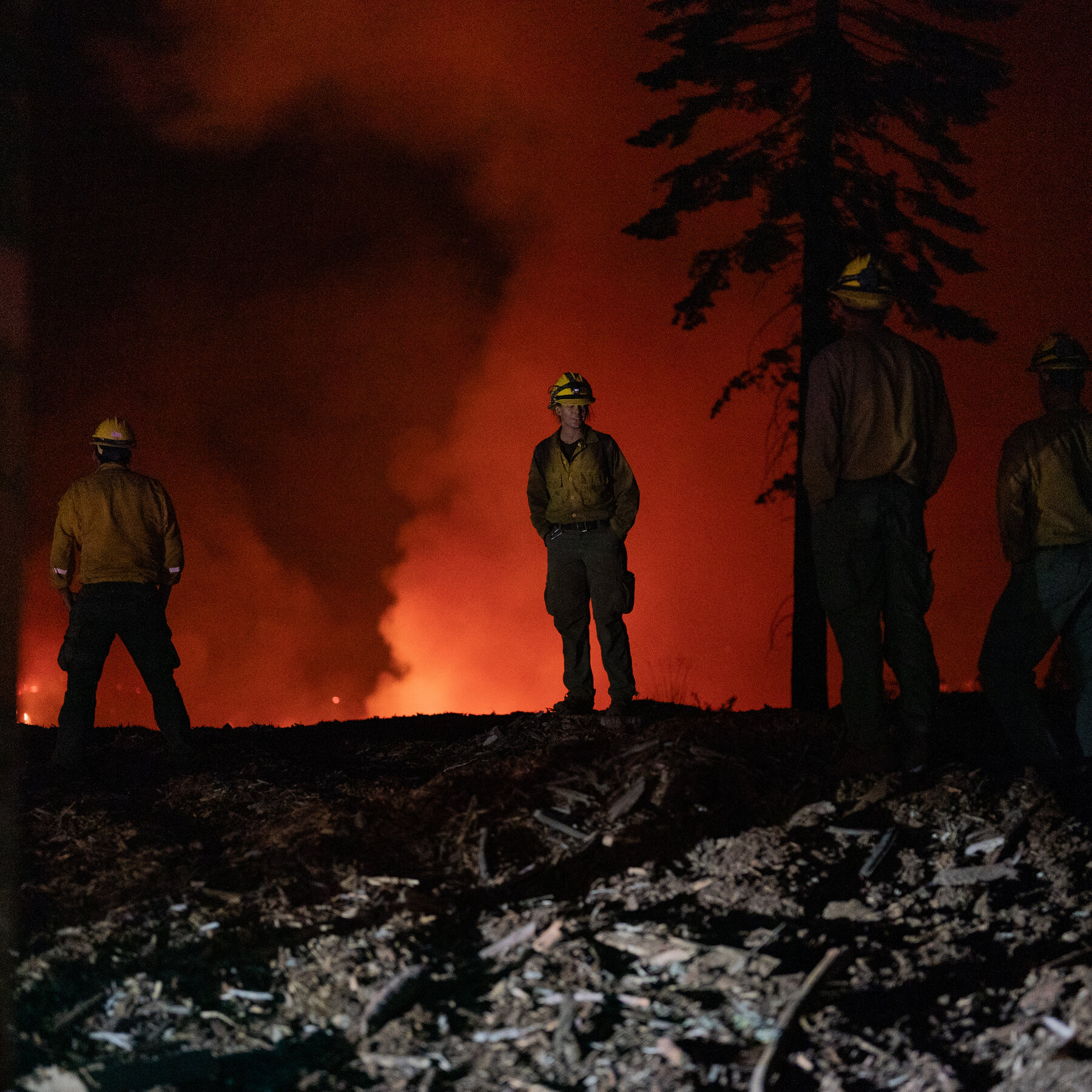 Book Review: ‘What’s Left,’ by Malcolm Harris