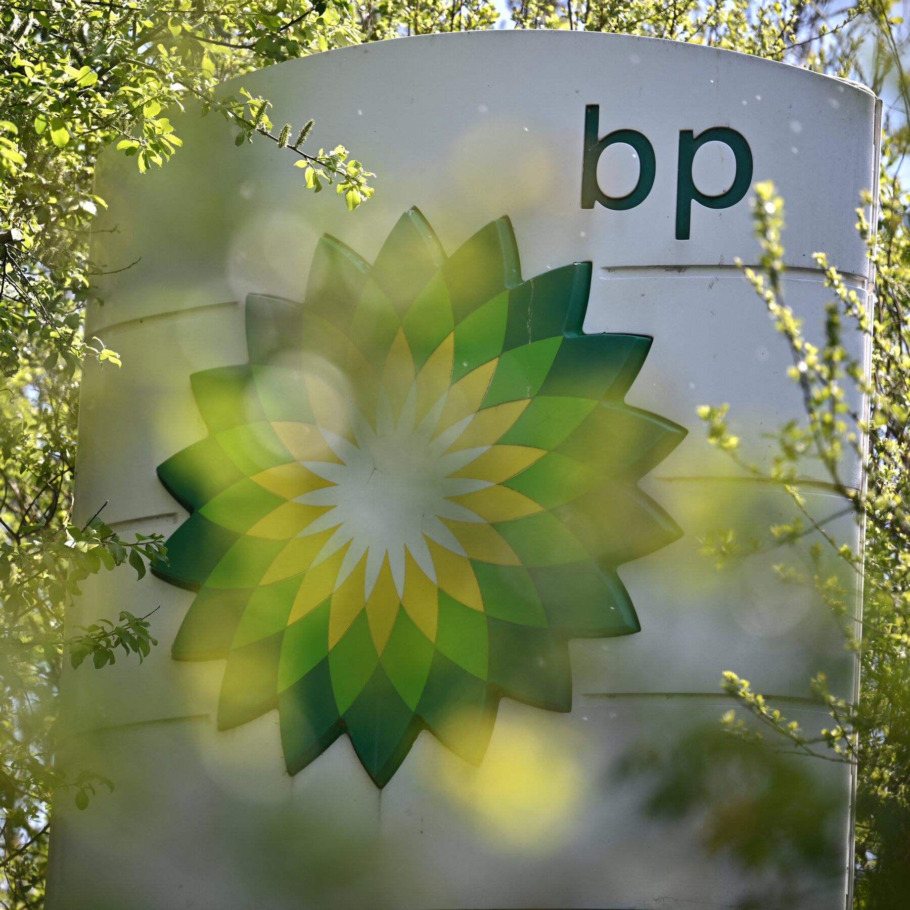 BP, Once a Hunter in the Oil Industry, Is Now Prey. What Went Wrong?