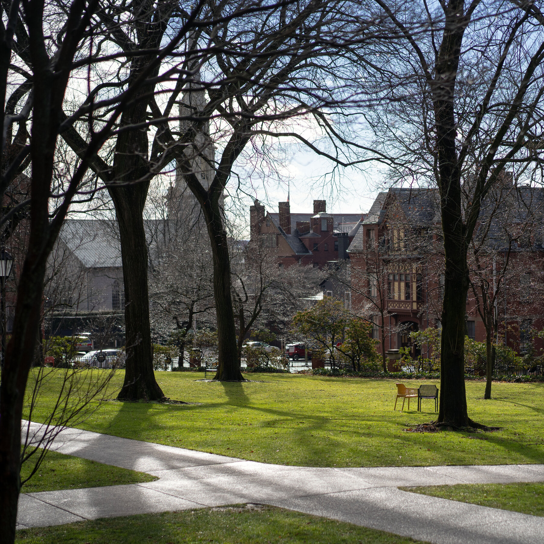 Brown University Professor and Doctor Are Deported to Lebanon Despite a Judge’s Order