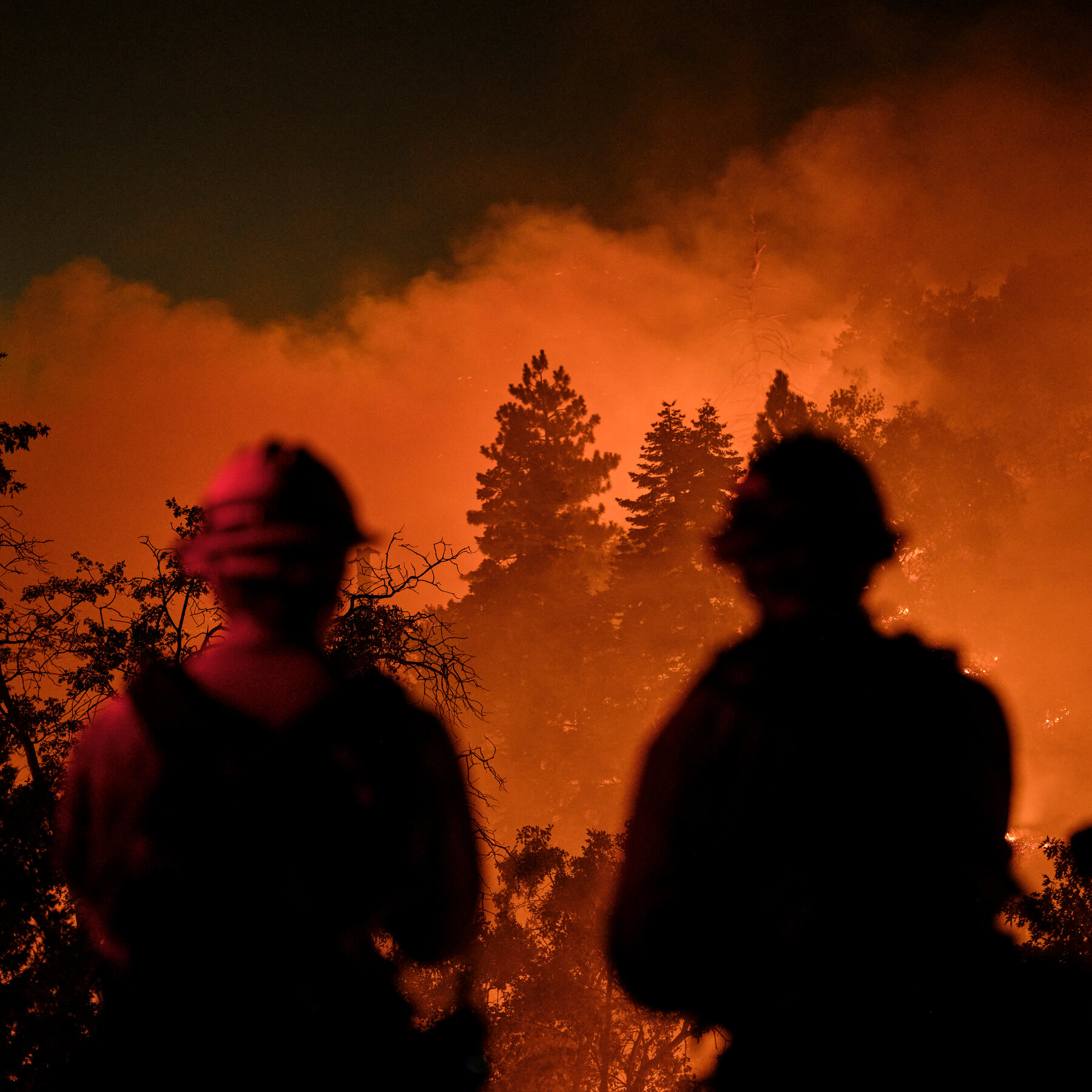 California Man Is Found Guilty of Starting Line Fire