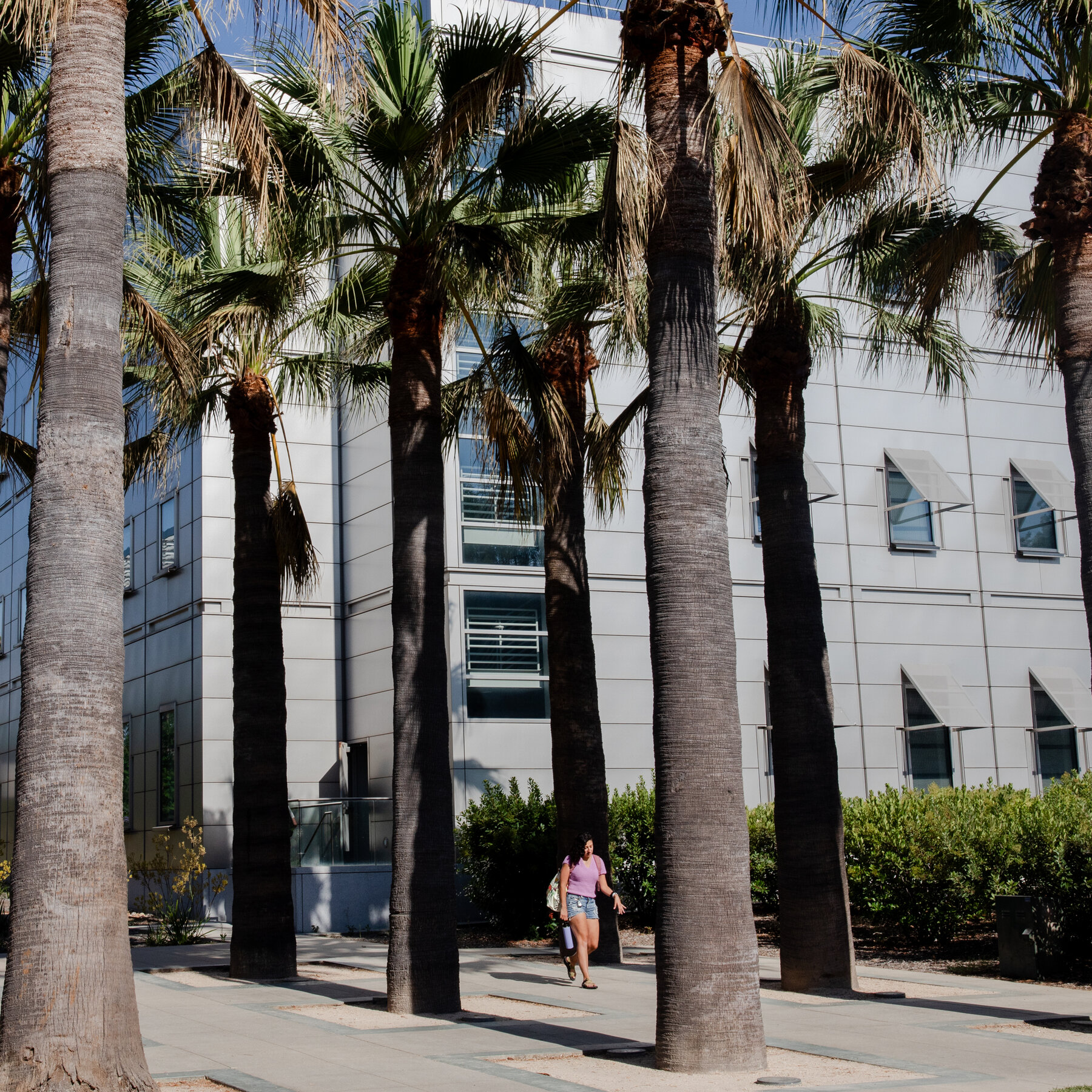 Caltech Settles Case Accusing It of Misleading Students