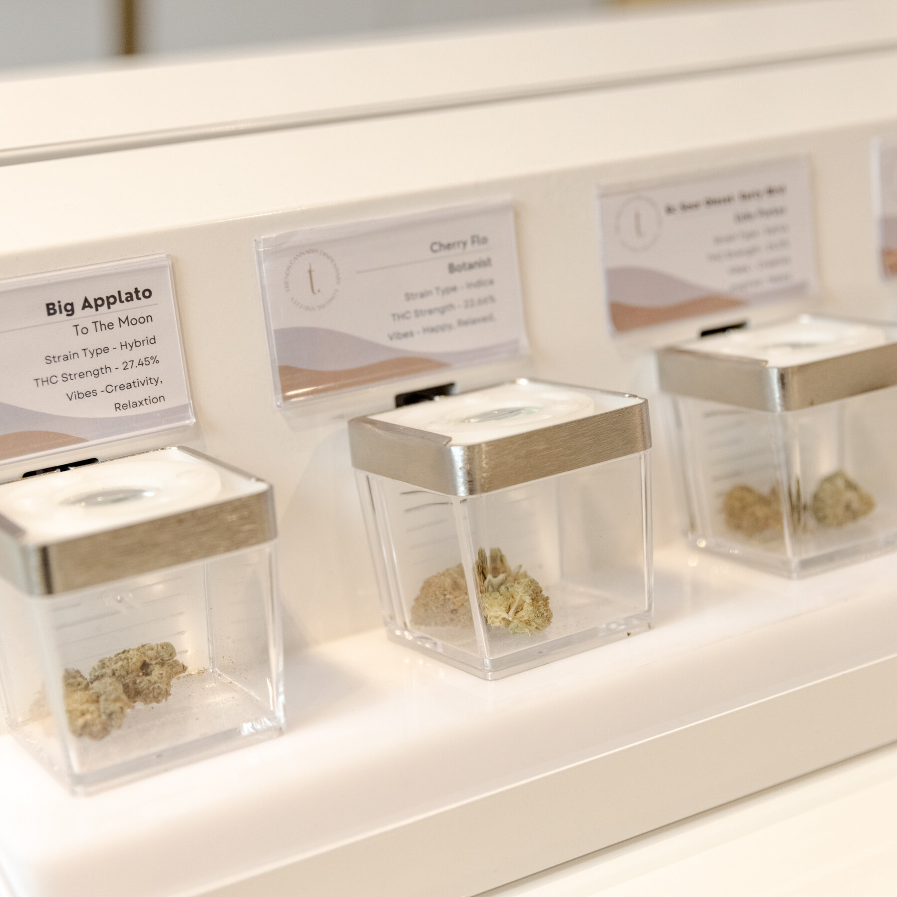 Cannabis Taxes Fund First Wave of Grants to Community Groups in New York