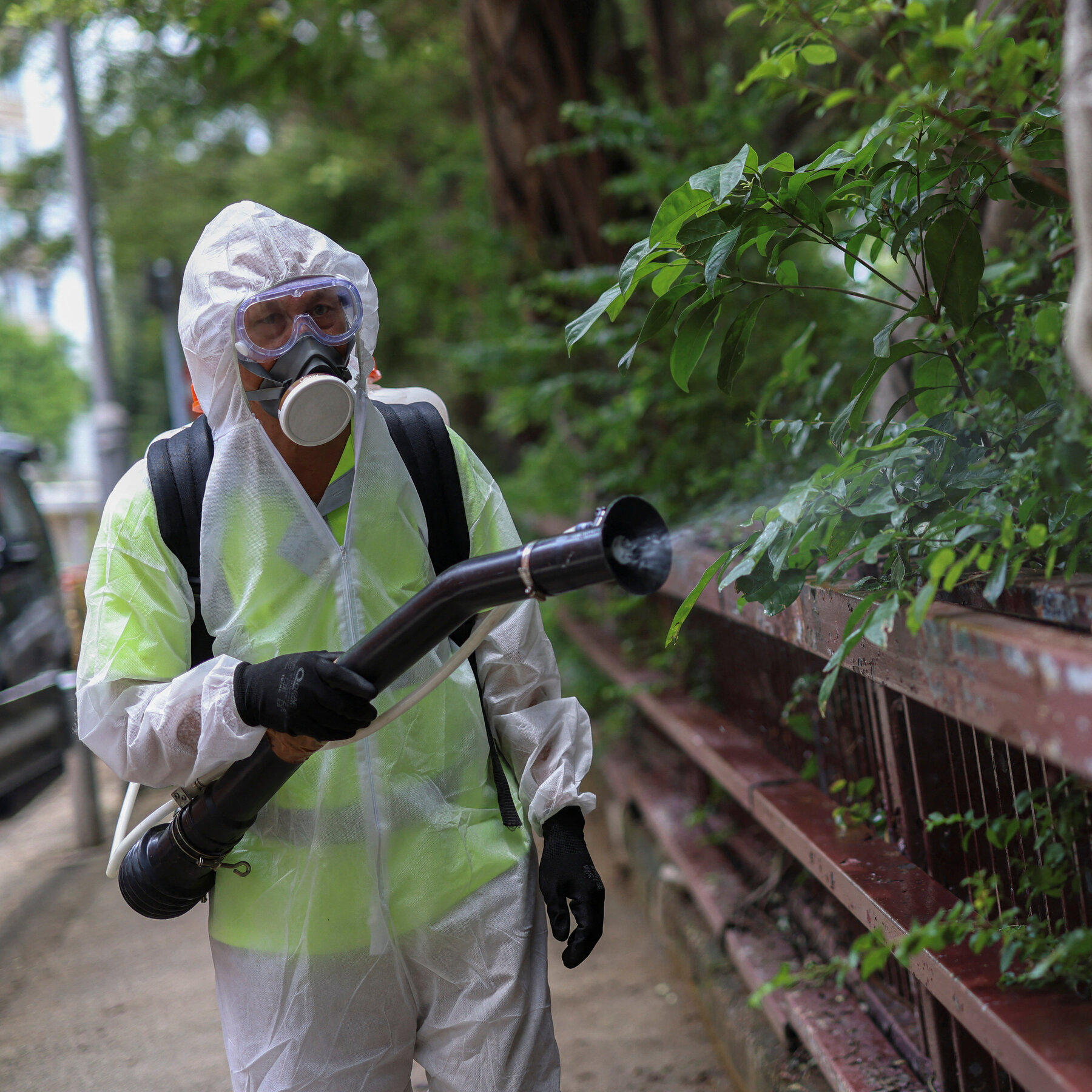 Cases of Mosquito-Borne Chikungunya Virus Are Surging Globally: What to Know
