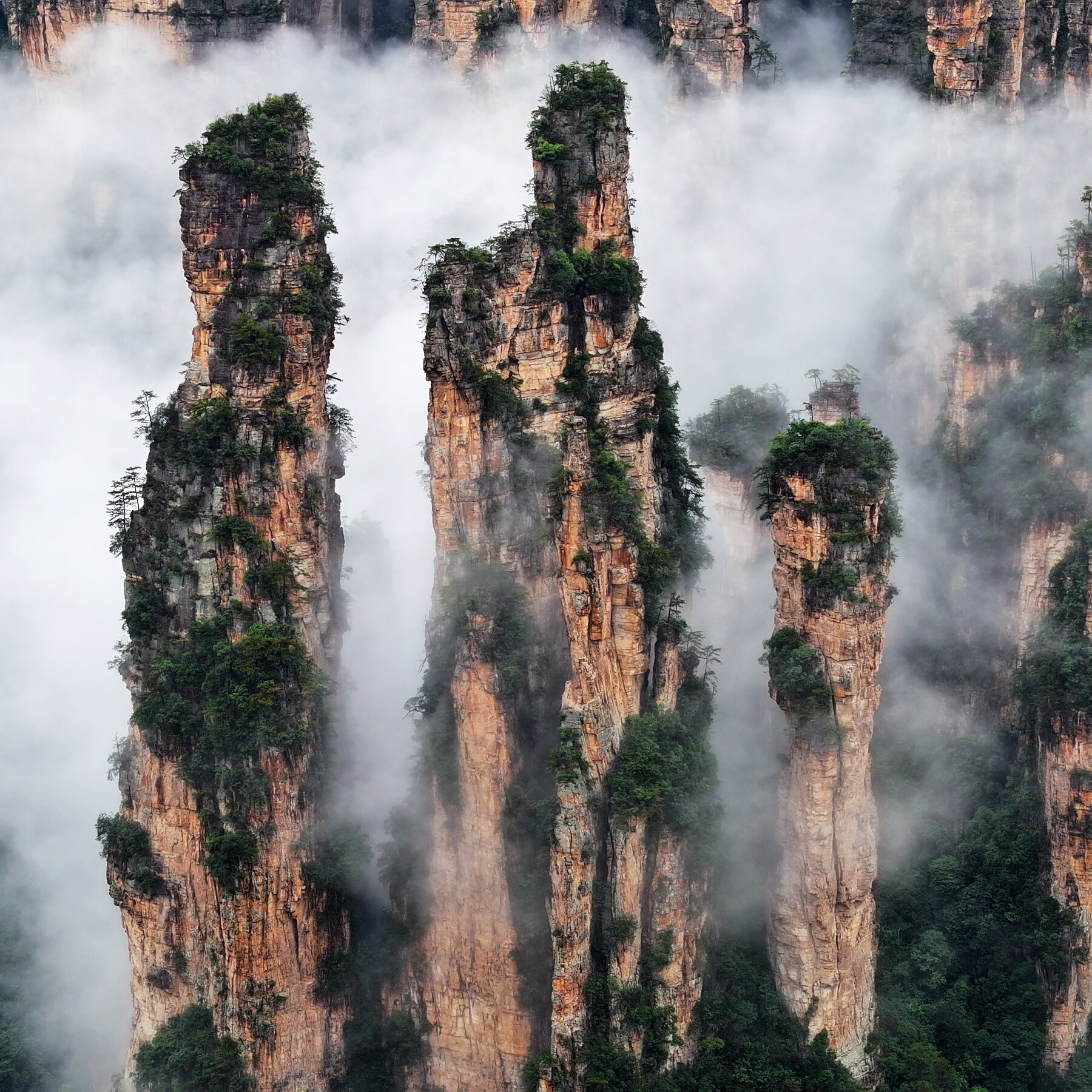 Cave Explorer Videos Show Decade of Trash in ‘Avatar’ Park in China