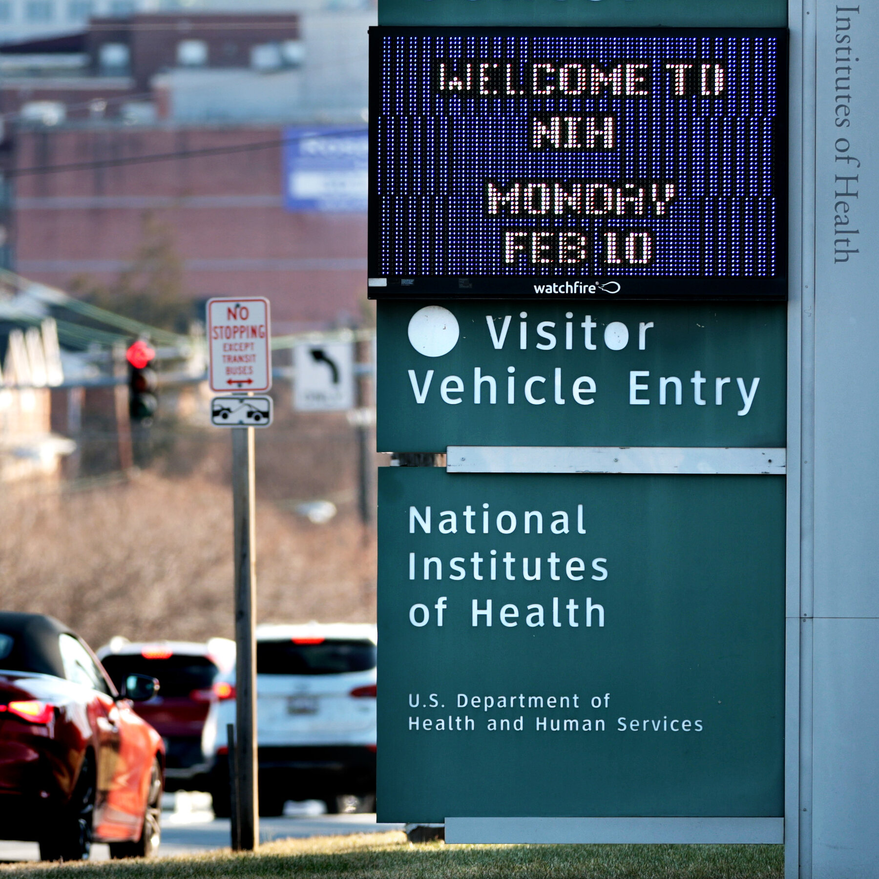‘Chaos and Confusion’ at the N.I.H., the Crown Jewel of American Science