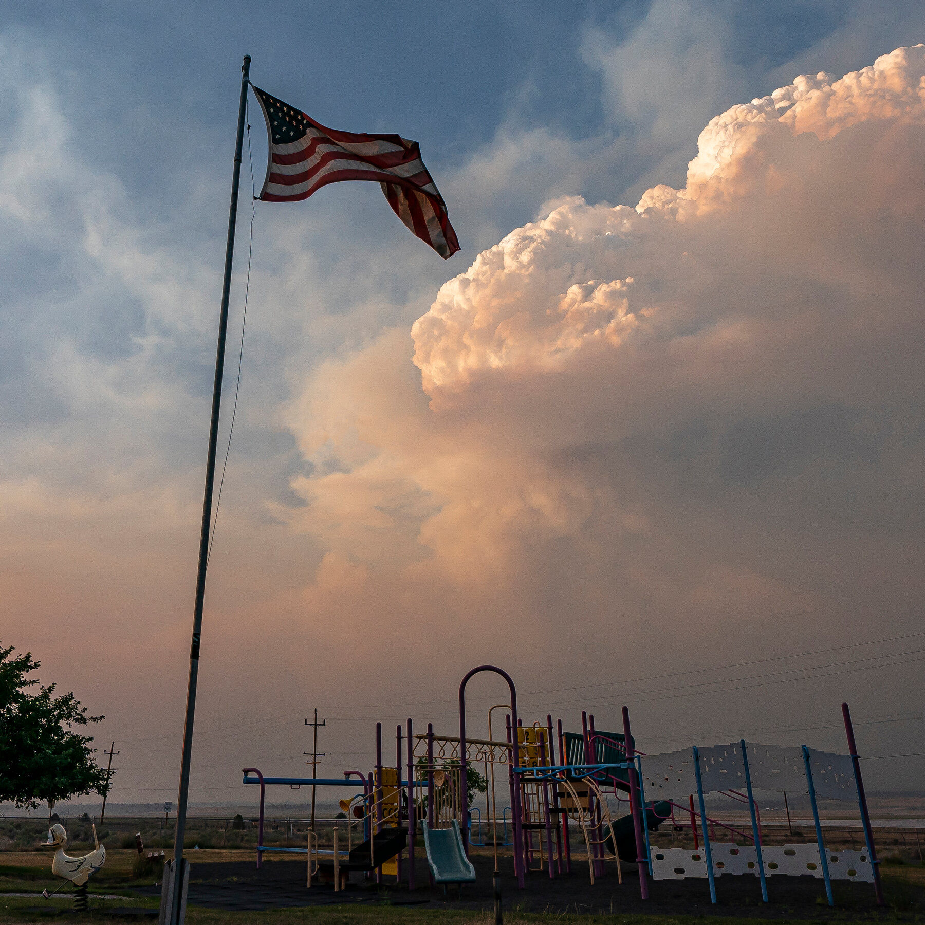 Child Health Experts With Diversity Roles Will Be Fired or Reassigned