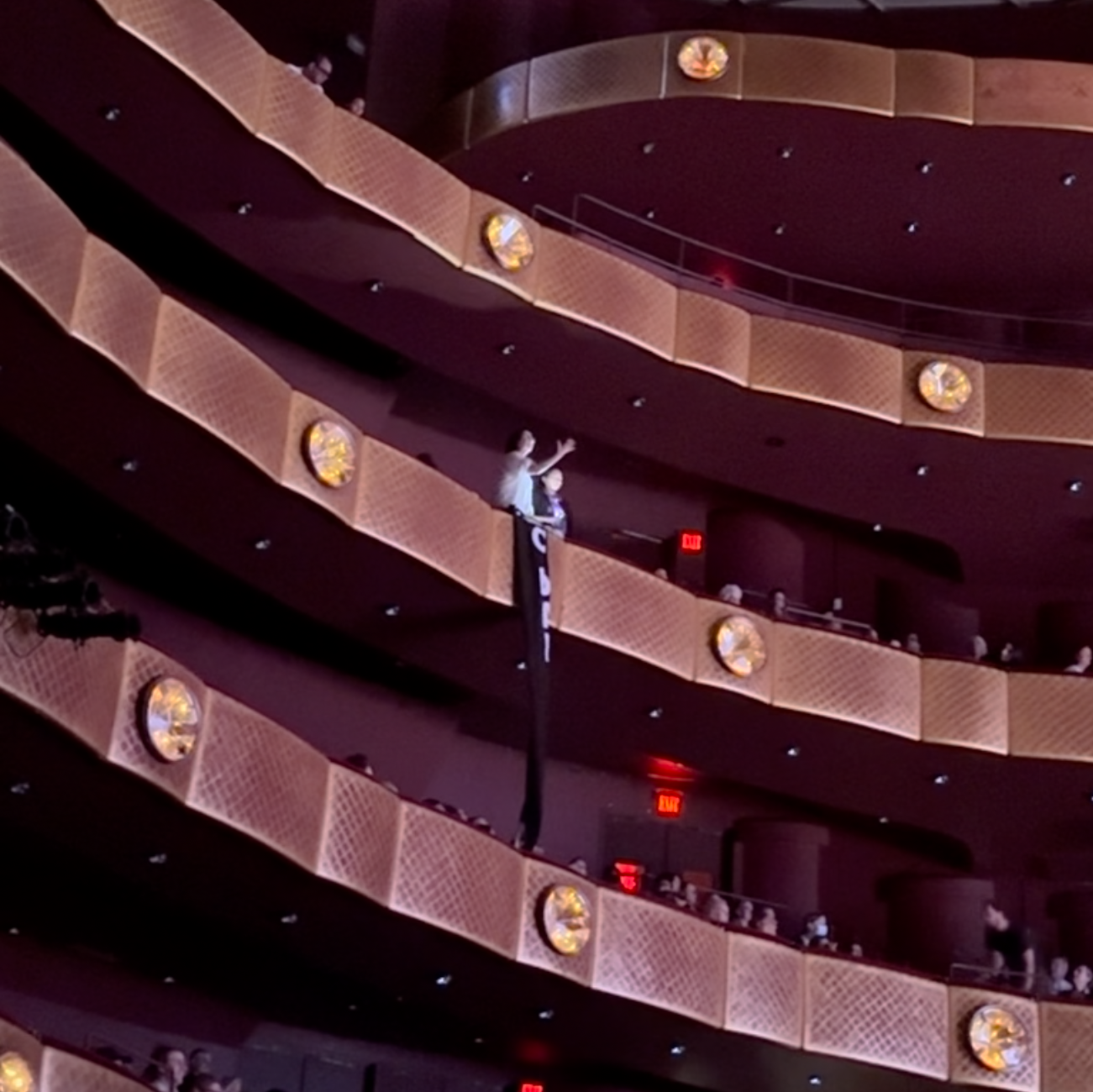 Climate Activists Interrupt New York City Ballet Performance