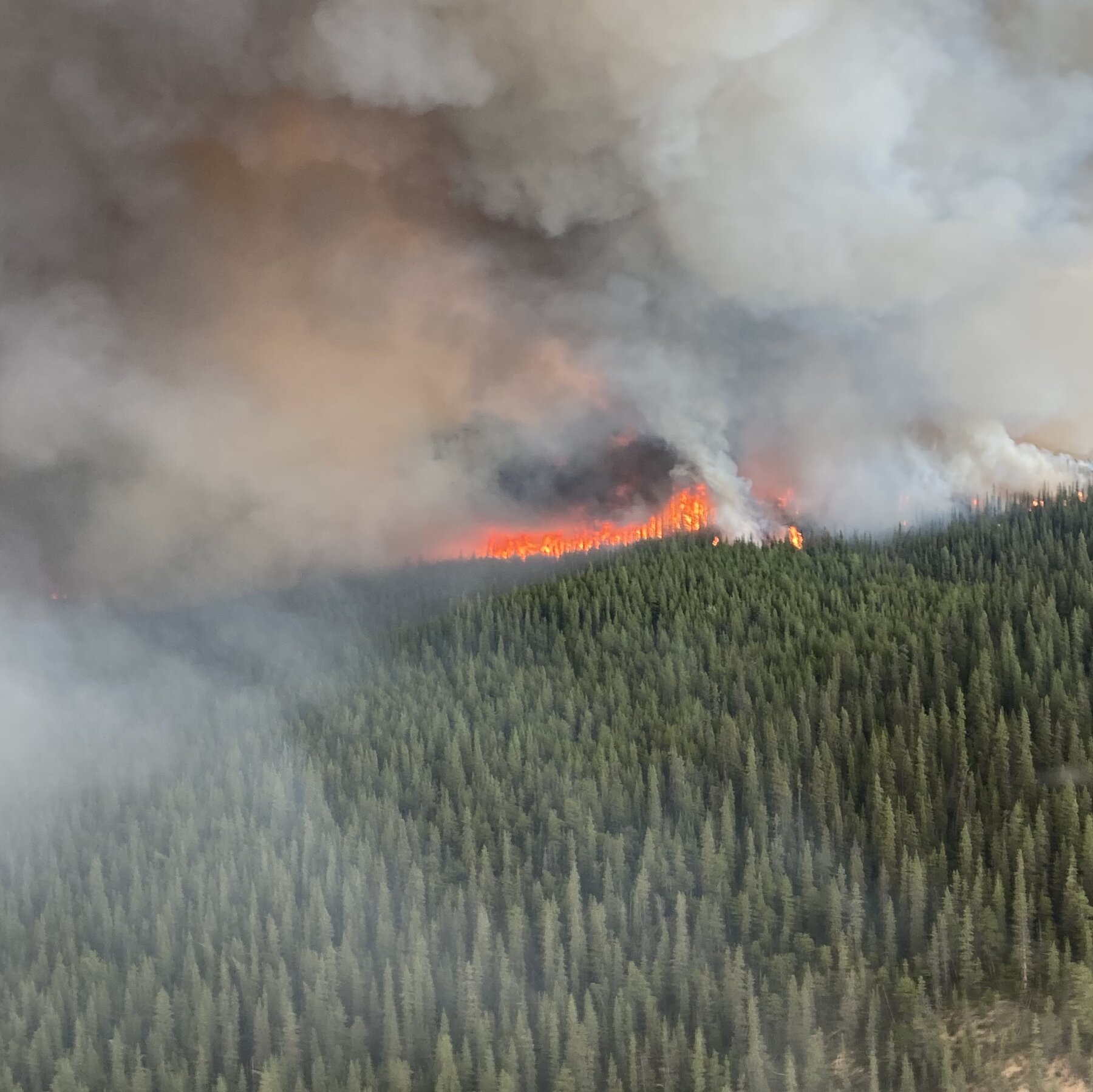 Climate Change Is Making Fire Weather Worse for World’s Forests