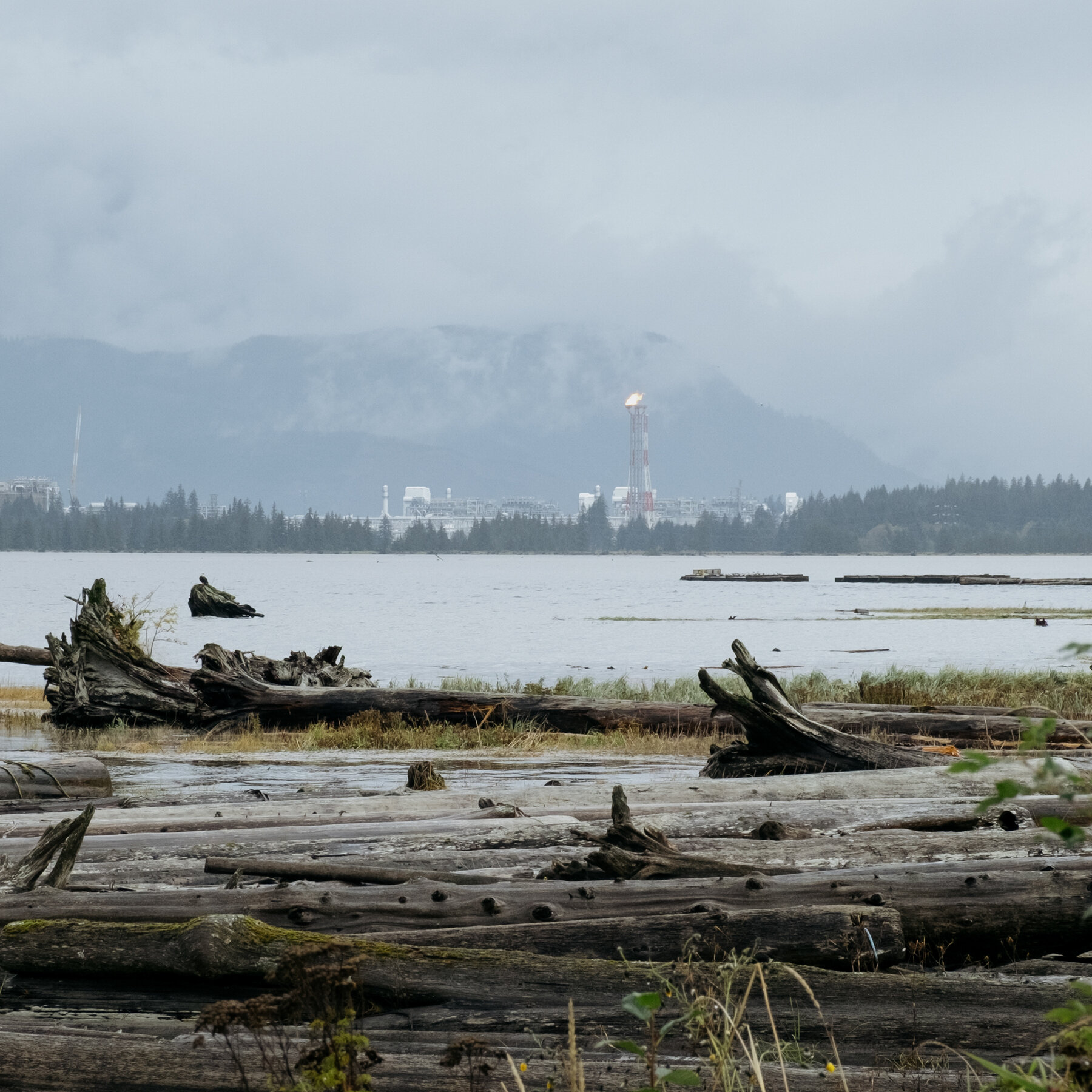 Climate change, once a big issue, fades from Canada’s election.