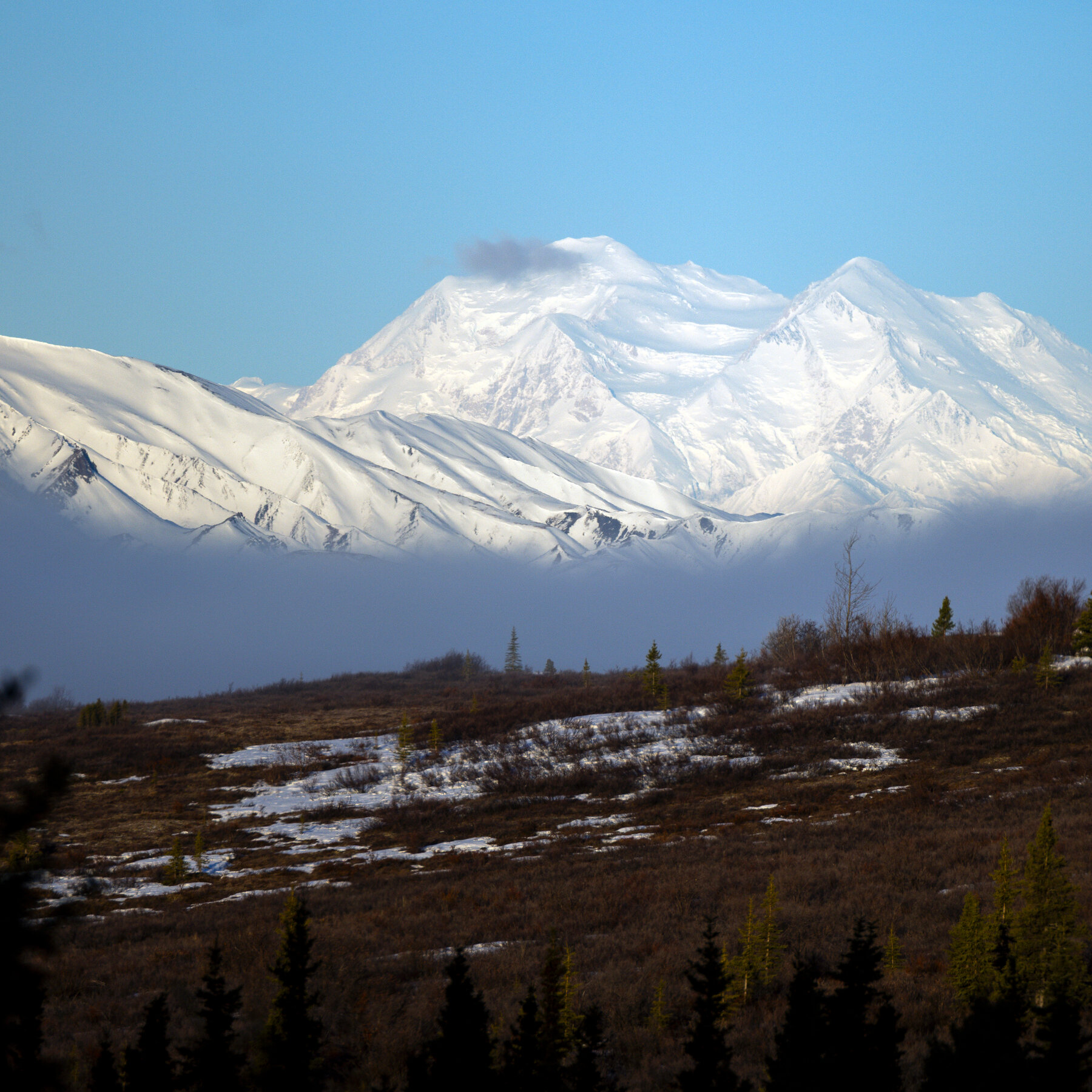 Climber Falls to His Death at Denali National Park