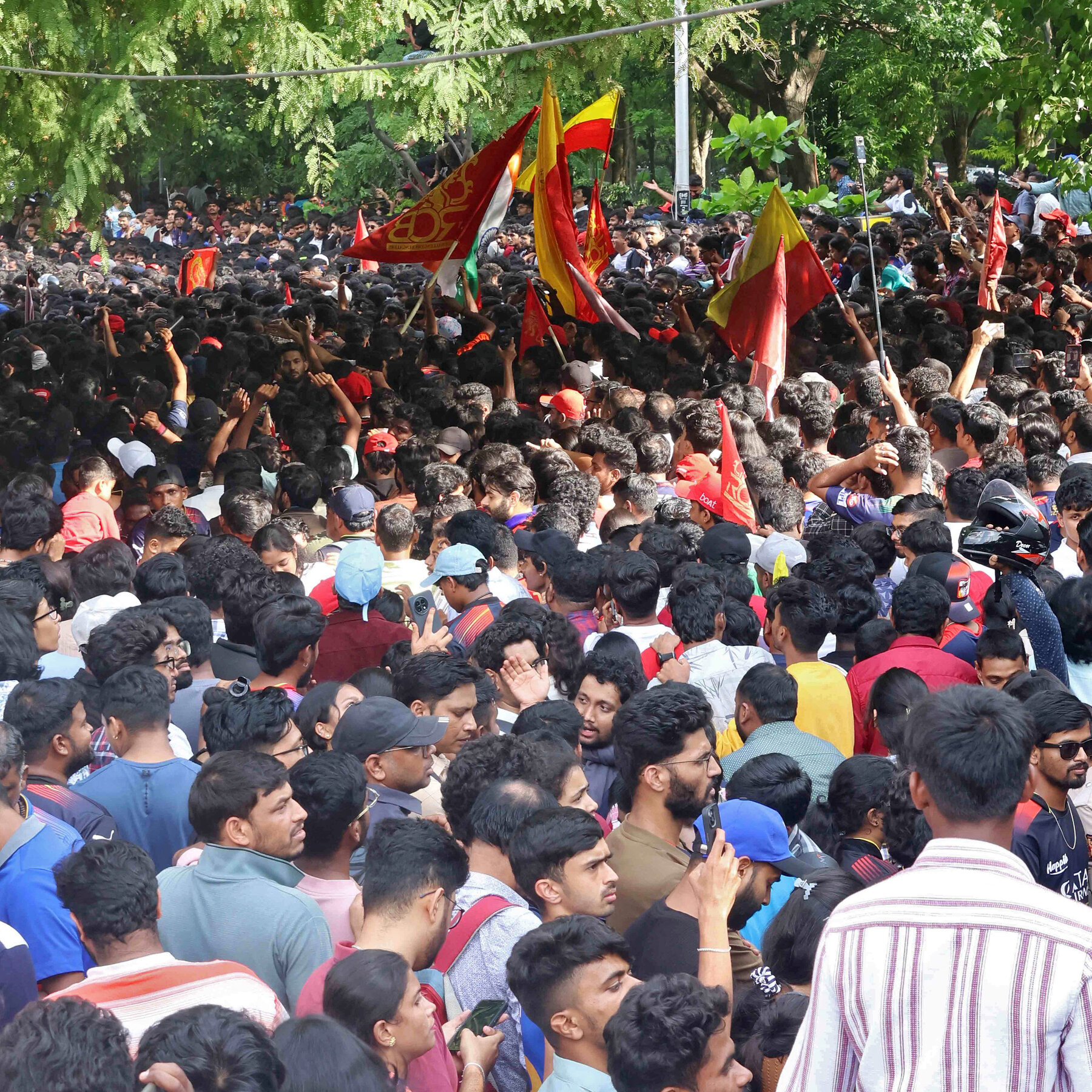 Deadly Crowd Crush Mars Celebration for Indian Cricket Championship