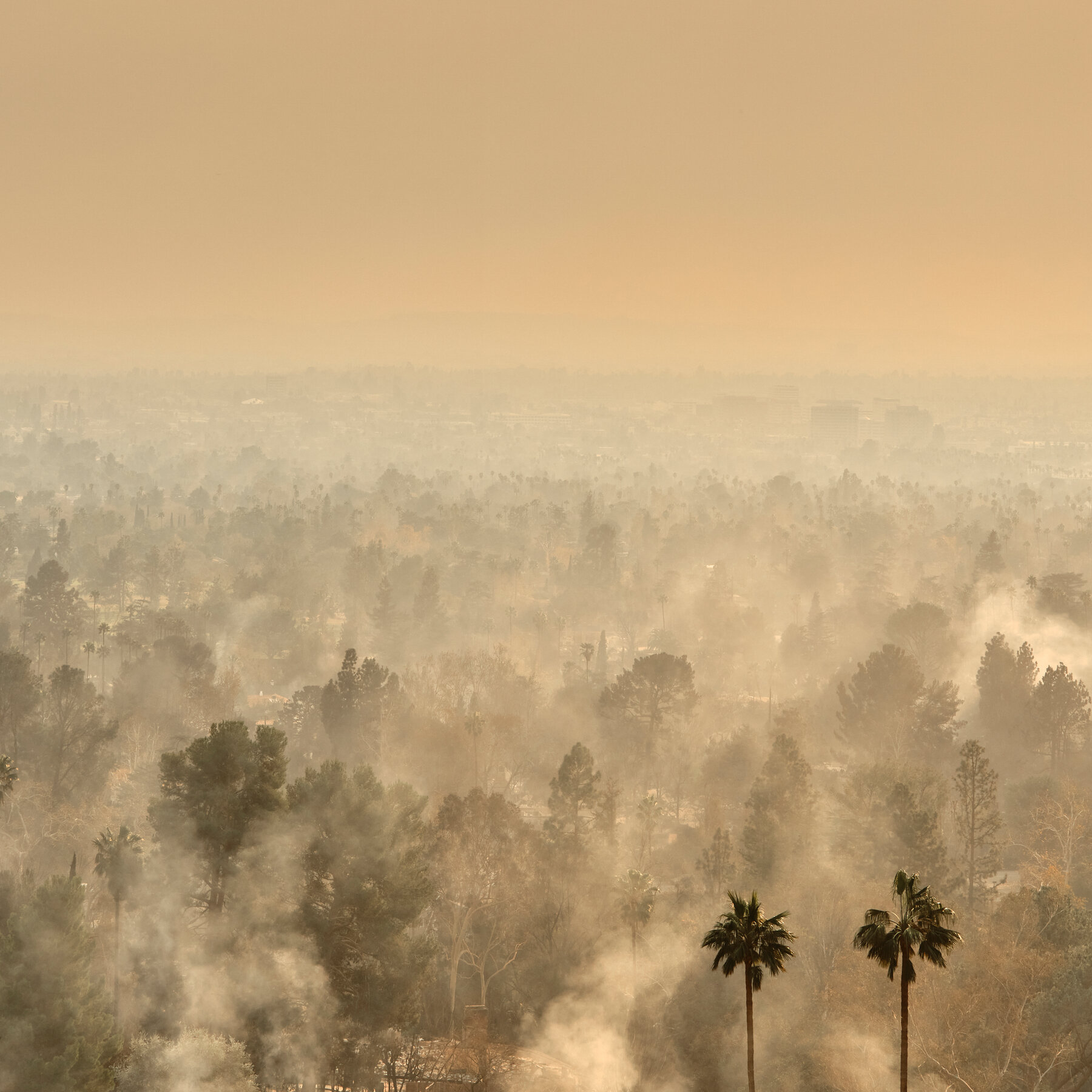 Death Toll From L.A. Fires Reaches 31 After Remains Are Found