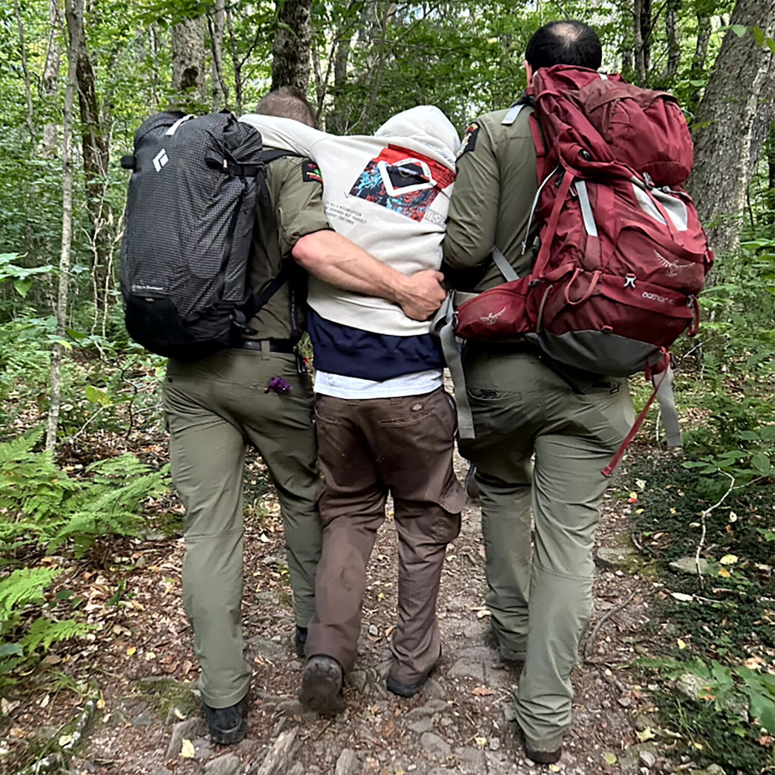 ‘Debilitating High’: Hikers on Psychedelic Mushrooms Are Rescued From Wilderness