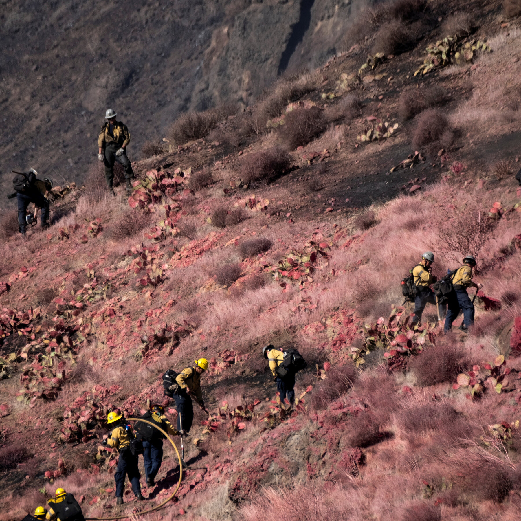 Despite Quick Spread, Laguna Fire Is Largely Under Control
